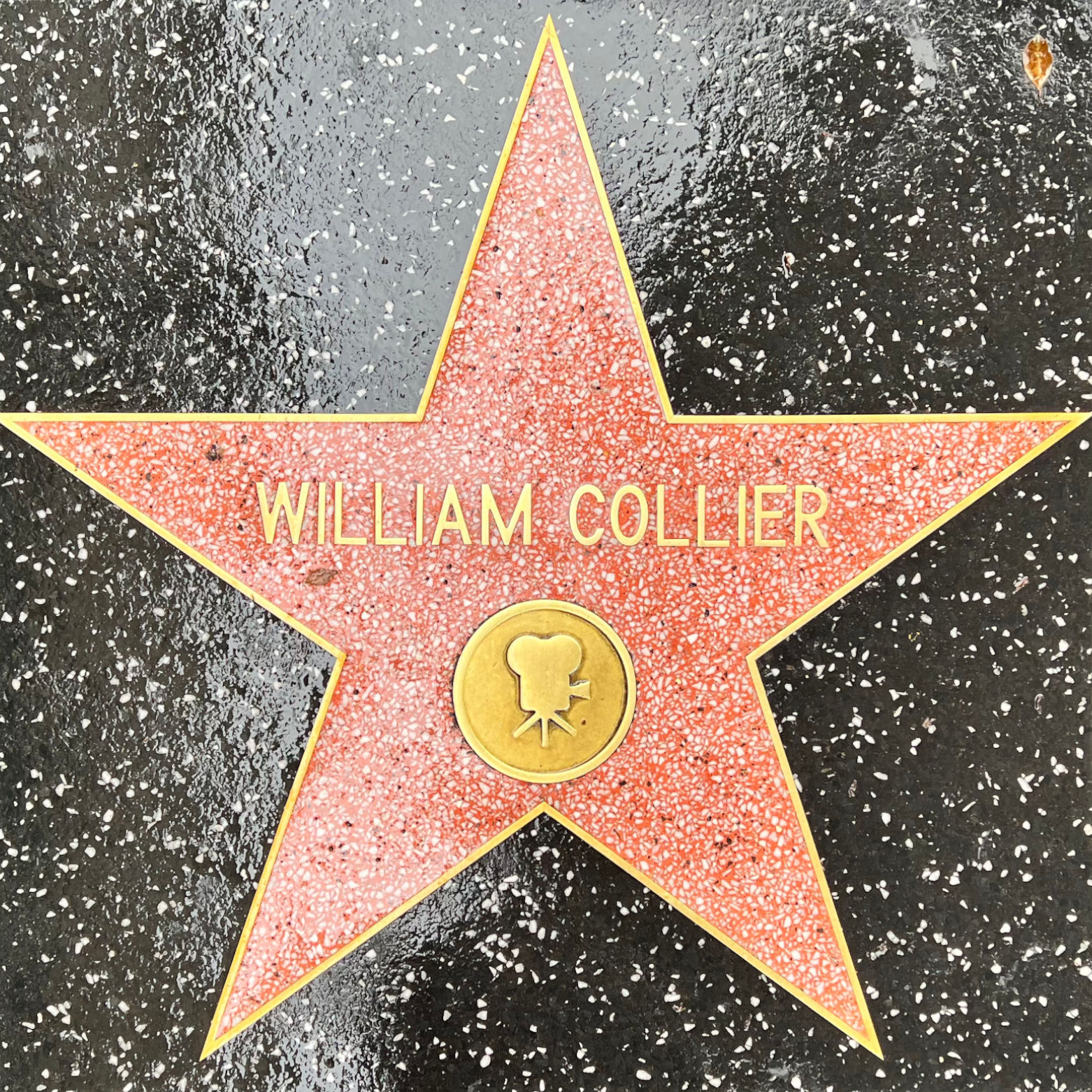 William Collier's Motion Pictures Star