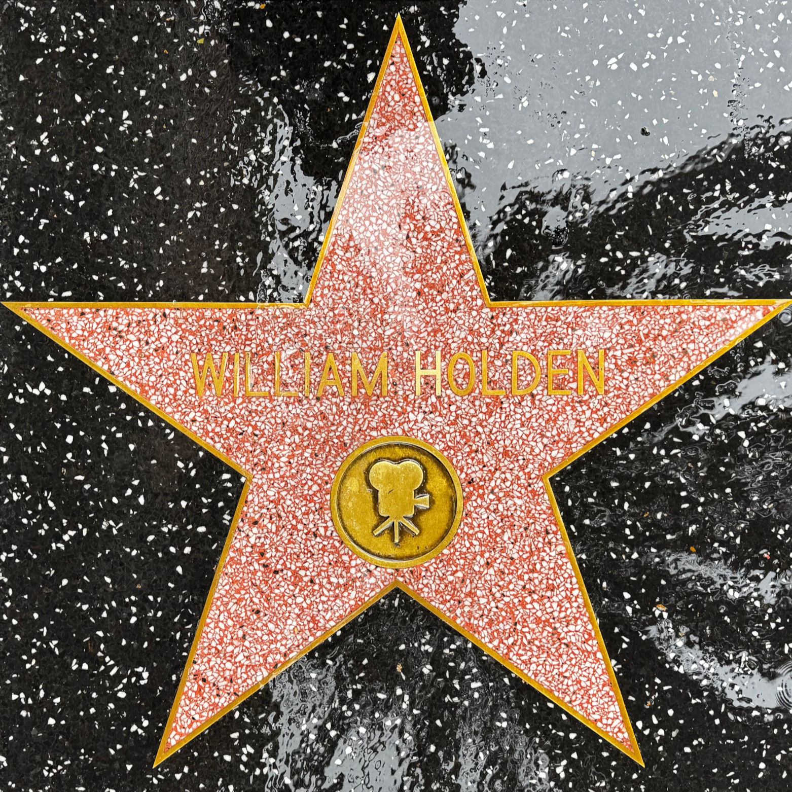 William Holden's Motion Pictures Star William Holden's Motion Pictures Star