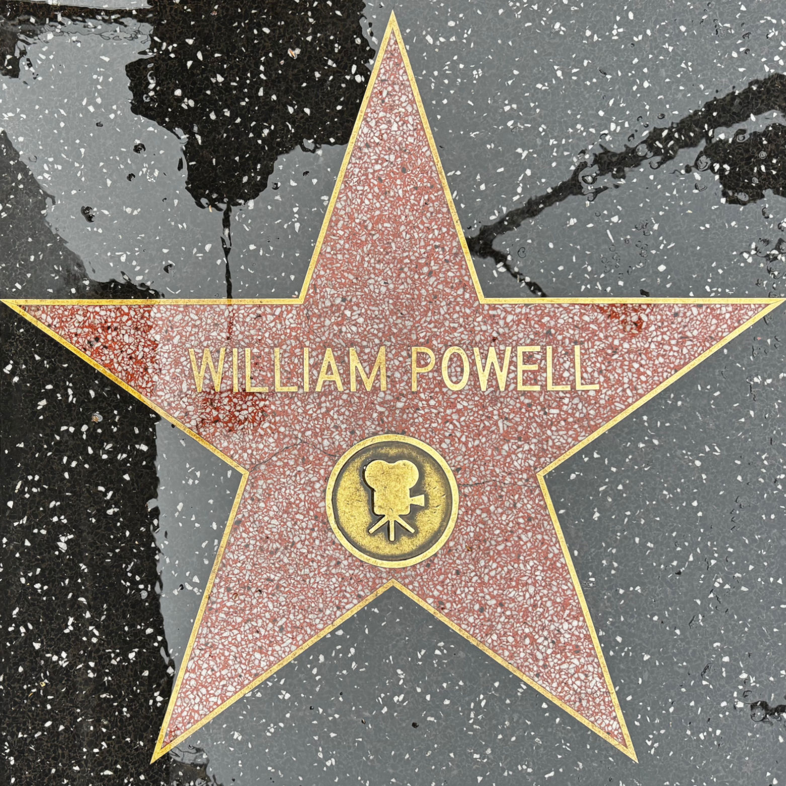 William Powell's Motion Pictures Star William Powell's Motion Pictures Star