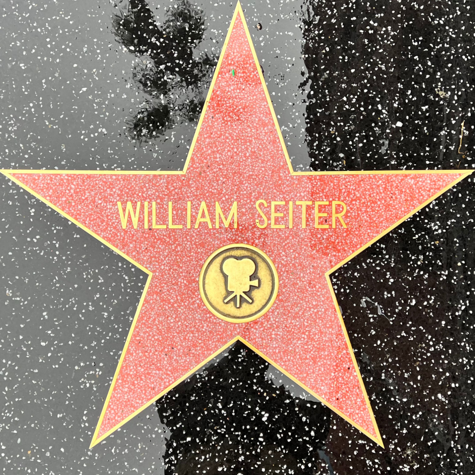 William Seiter's Motion Pictures Star