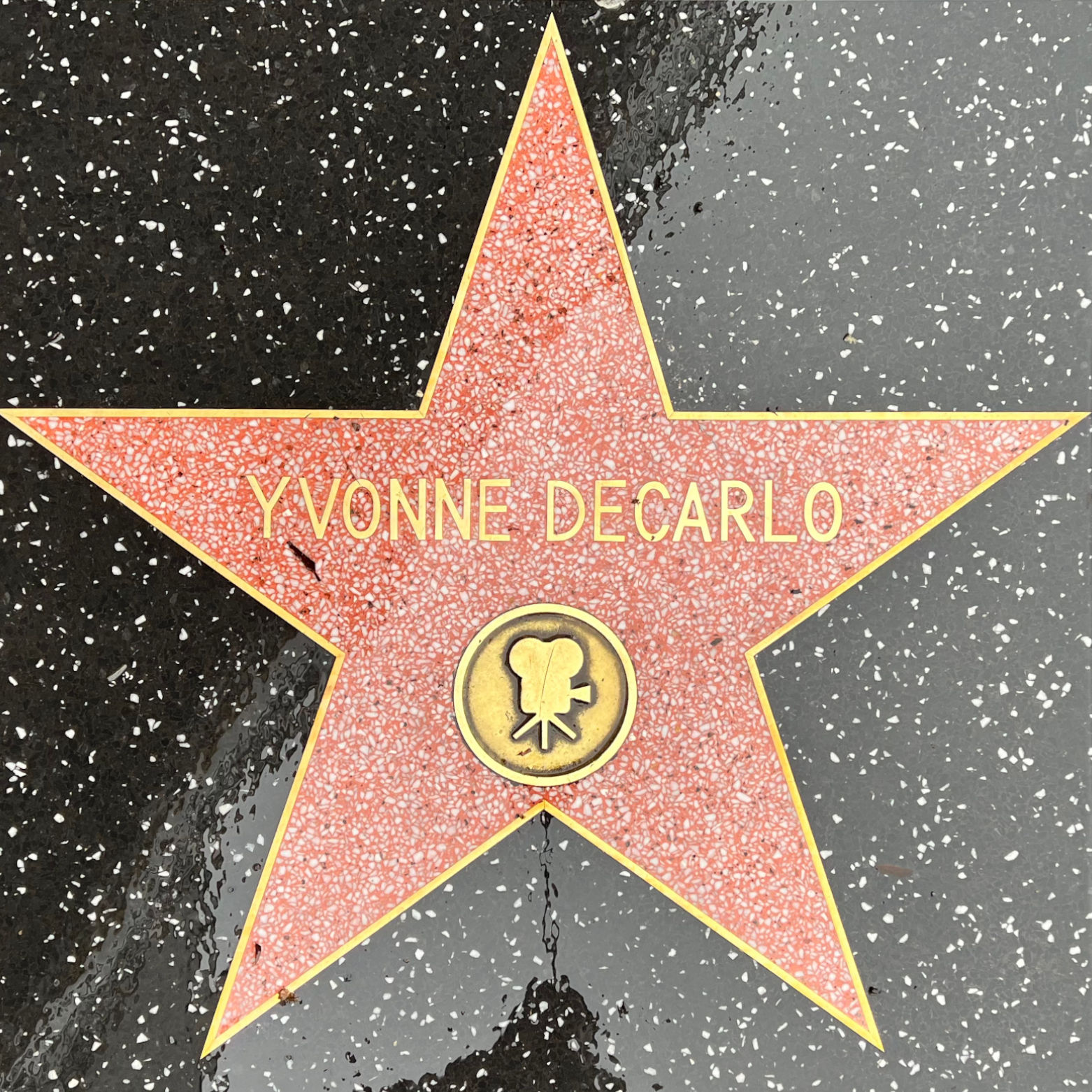 Yvonne DeCarlo's Motion Pictures Star