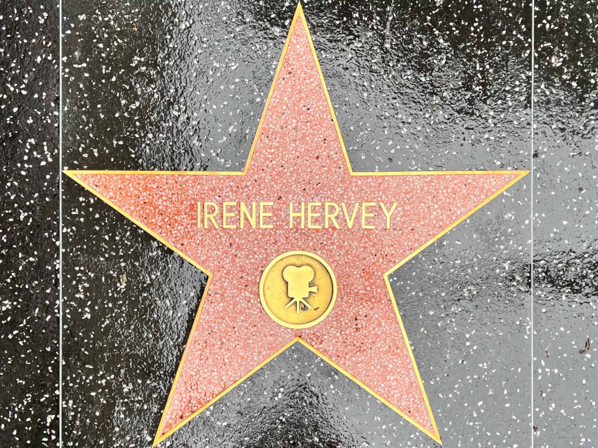 Hollywood Walk of Fame