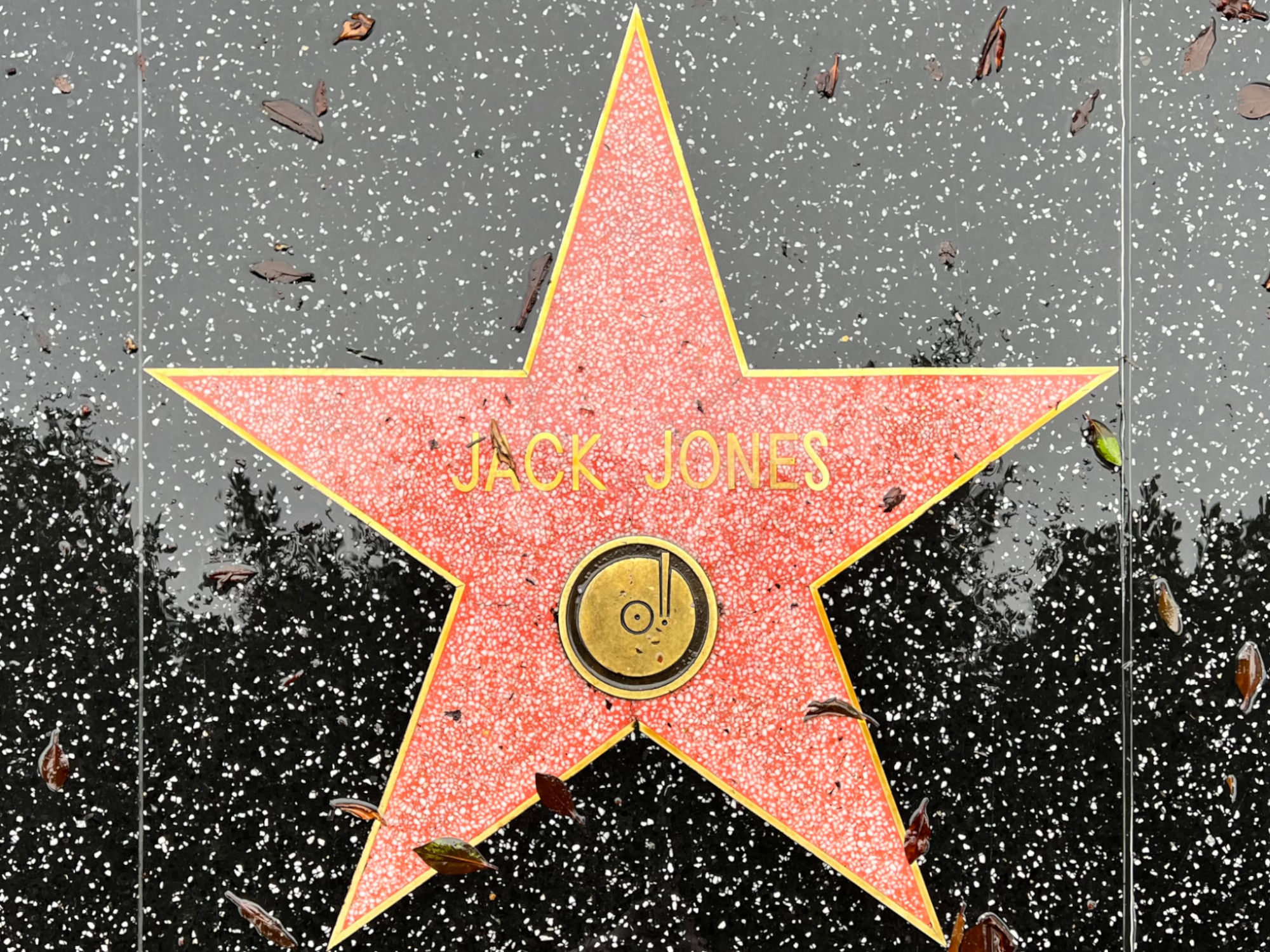 Hollywood Walk of Fame