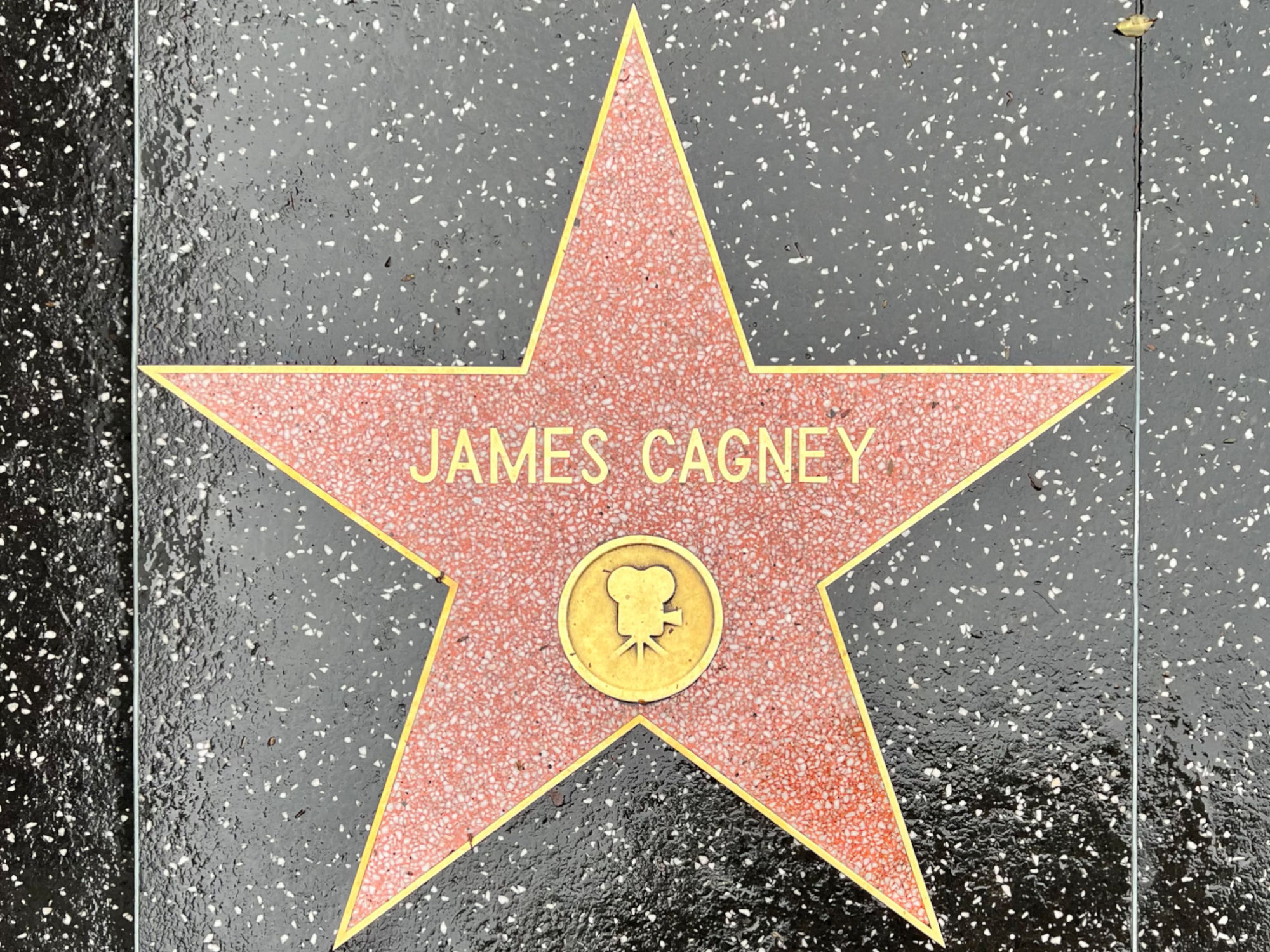 Hollywood Walk of Fame