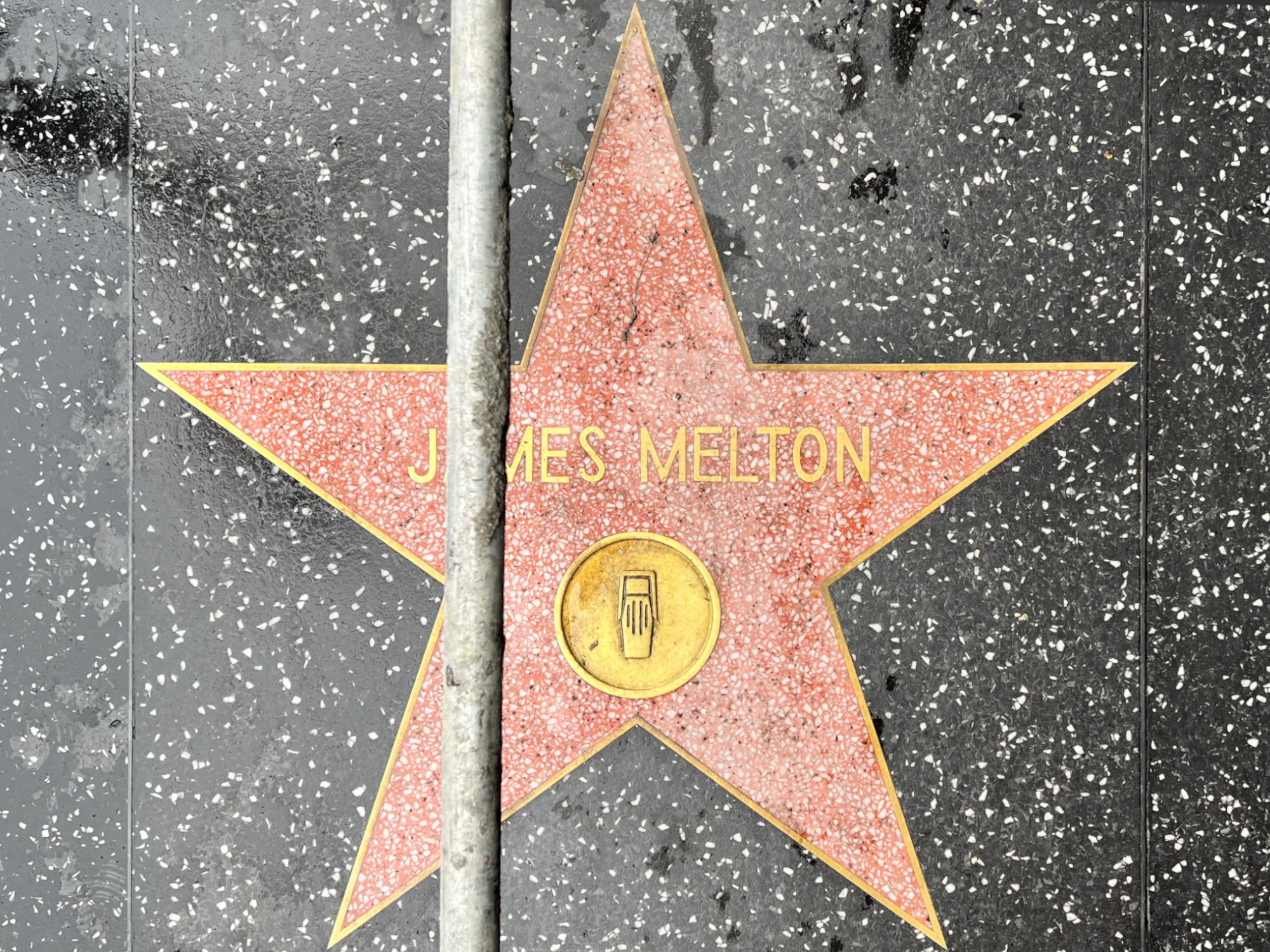 Hollywood Walk of Fame