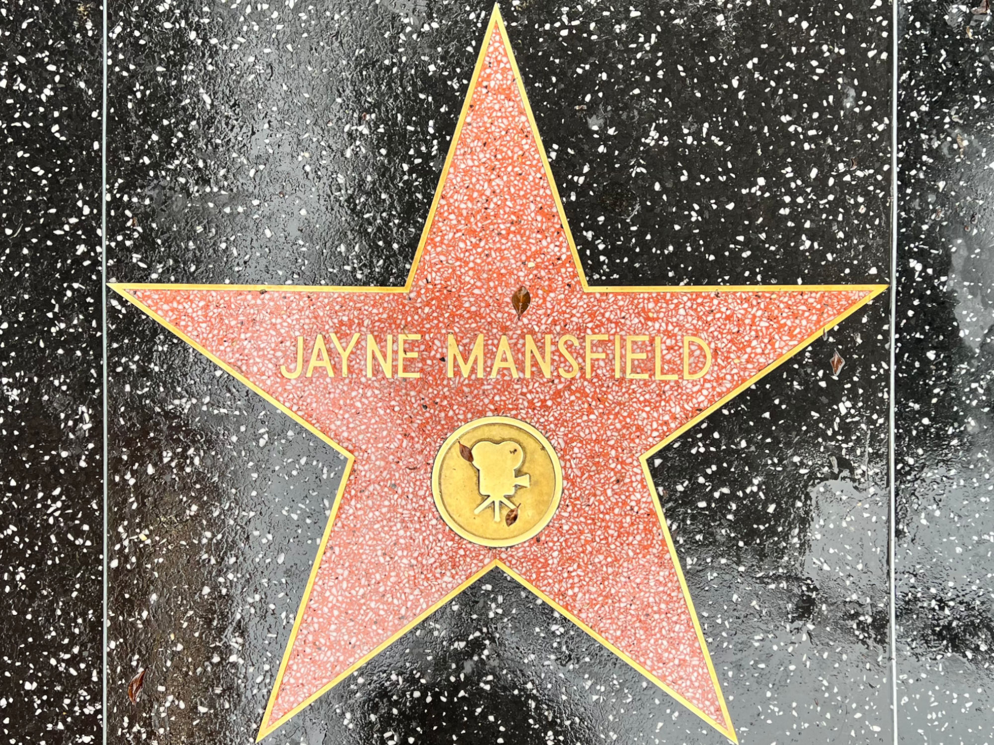 Hollywood Walk of Fame