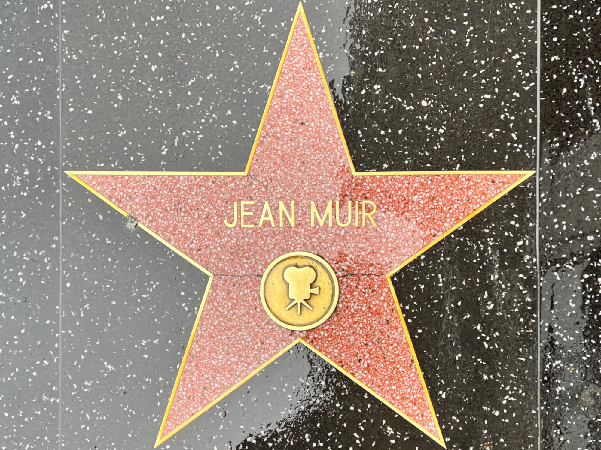 Hollywood Walk of Fame