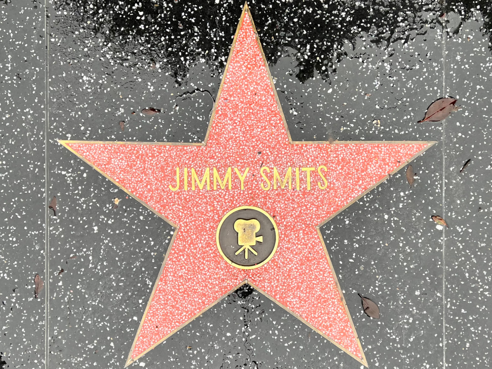 Hollywood Walk of Fame