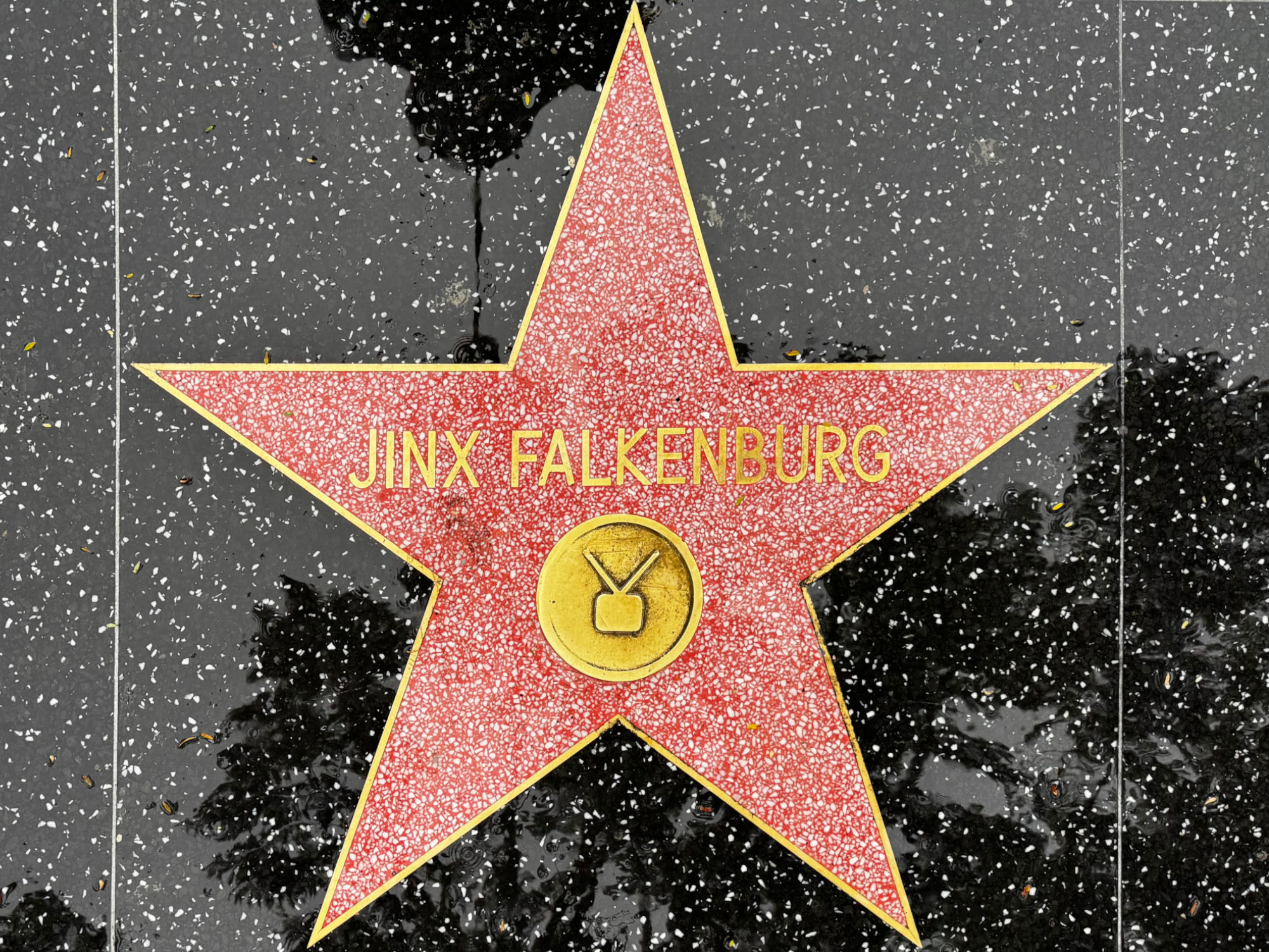 Hollywood Walk of Fame Hollywood Walk of Fame