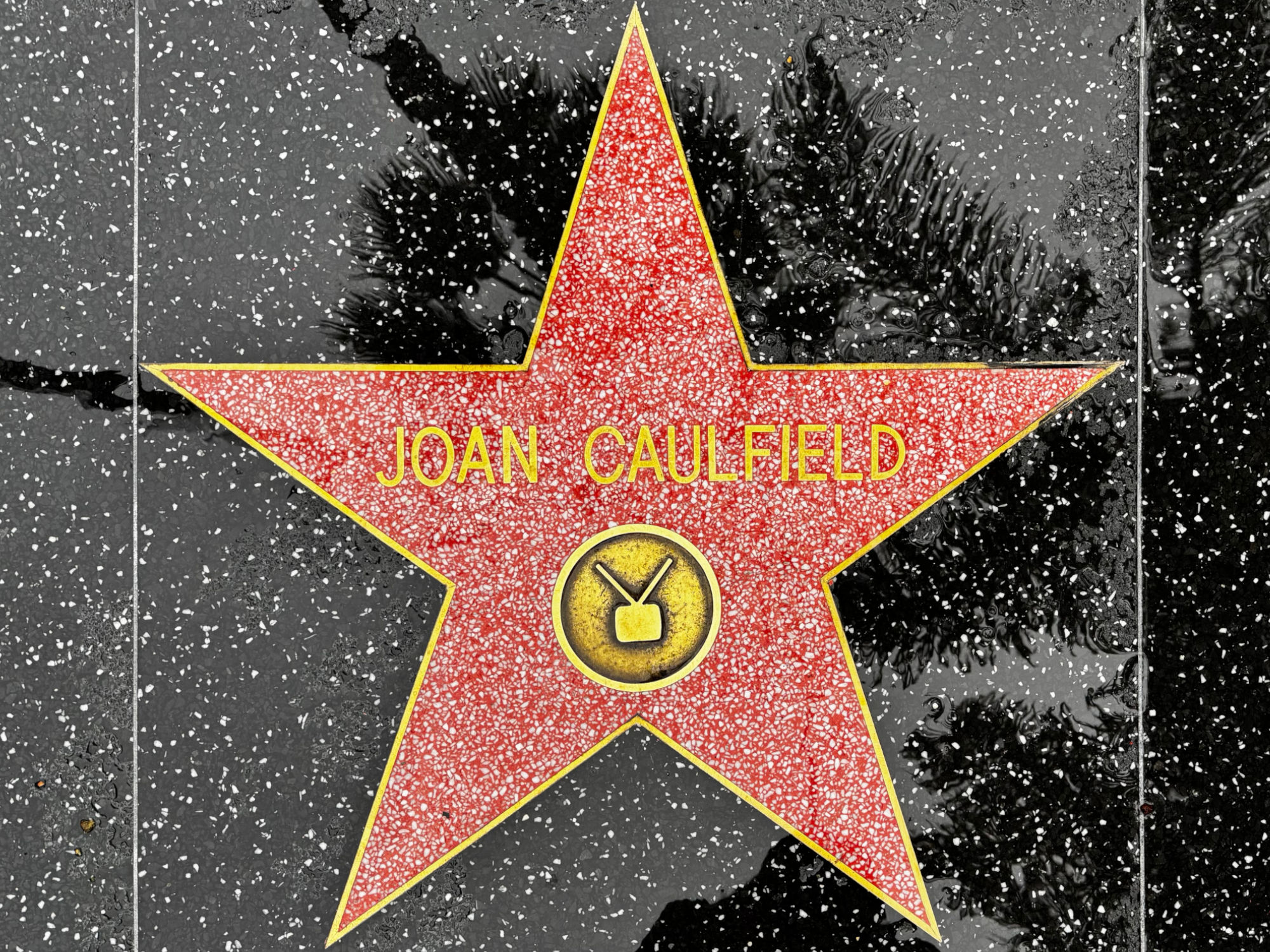Hollywood Walk of Fame Hollywood Walk of Fame