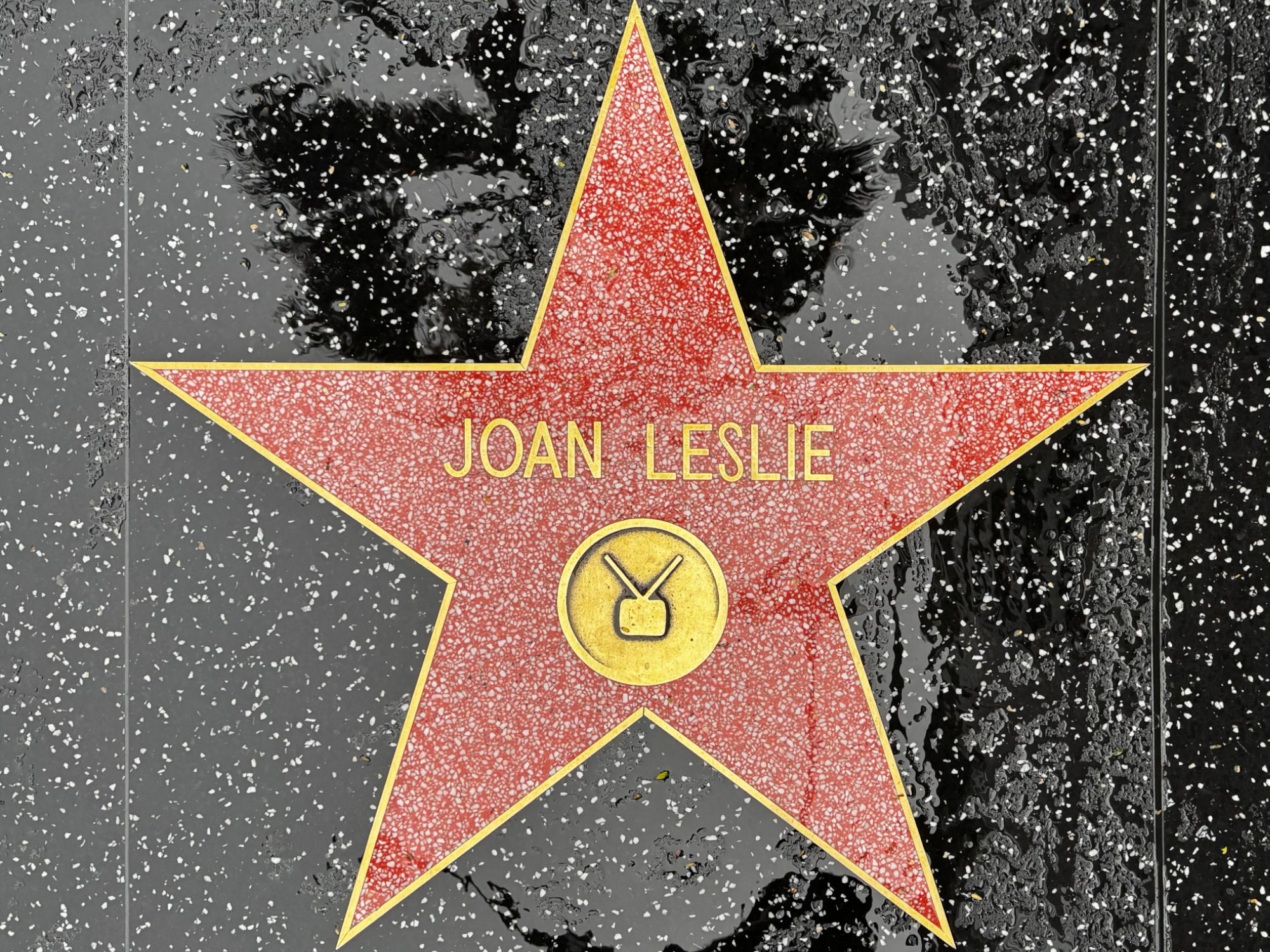 Hollywood Walk of Fame