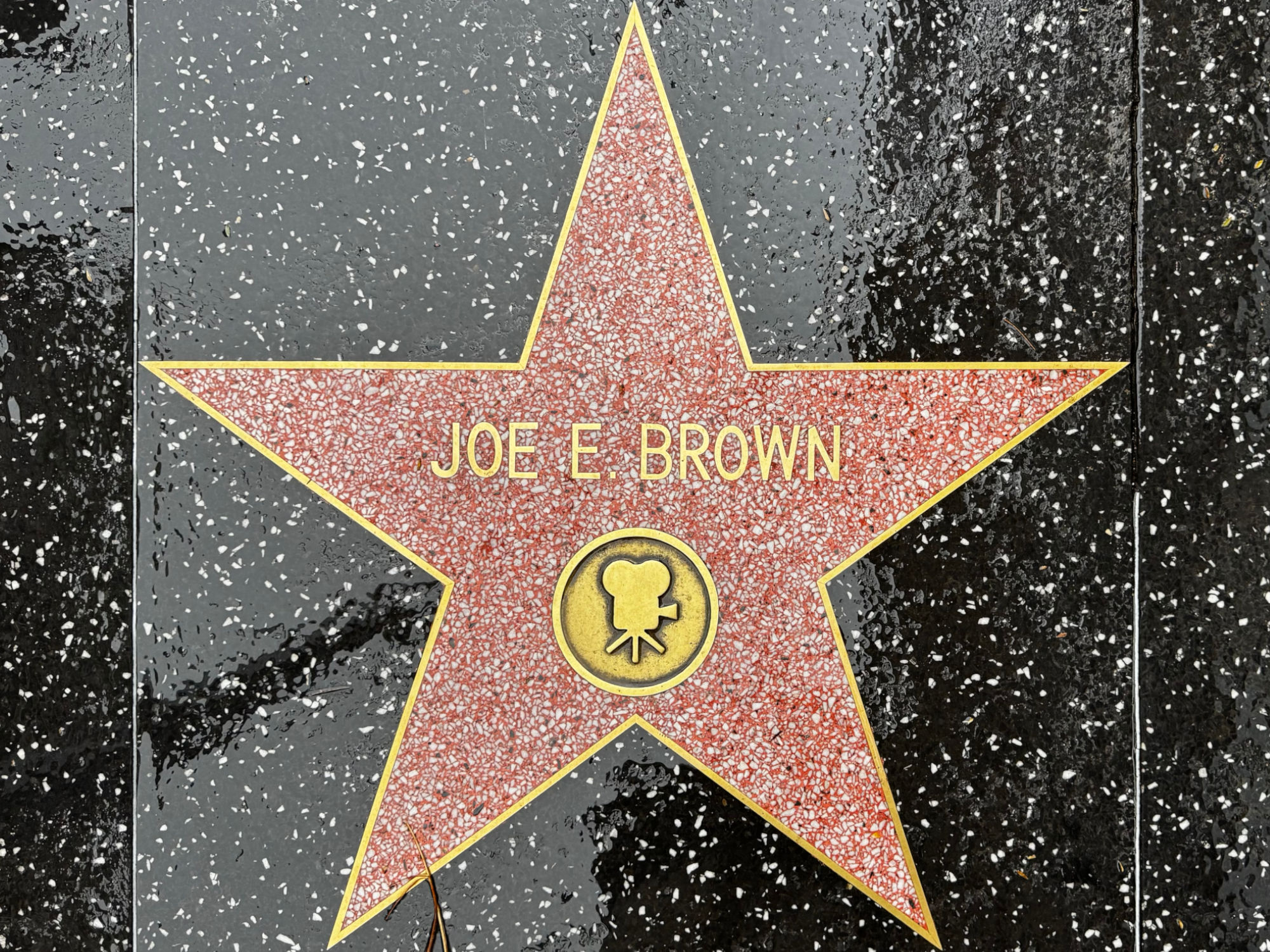Hollywood Walk of Fame Hollywood Walk of Fame