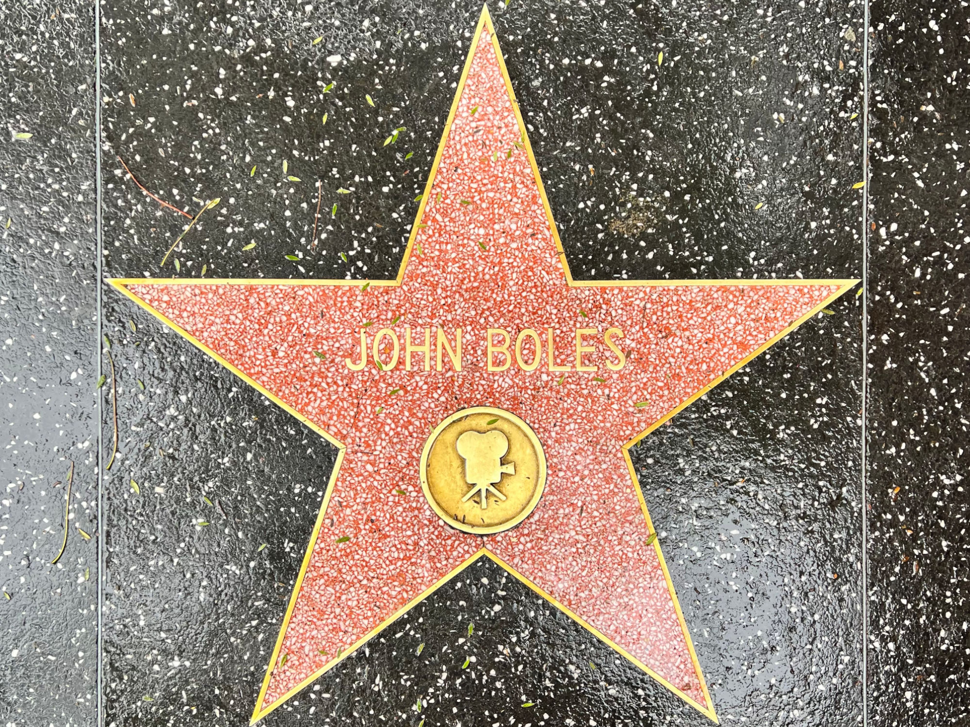 Hollywood Walk of Fame