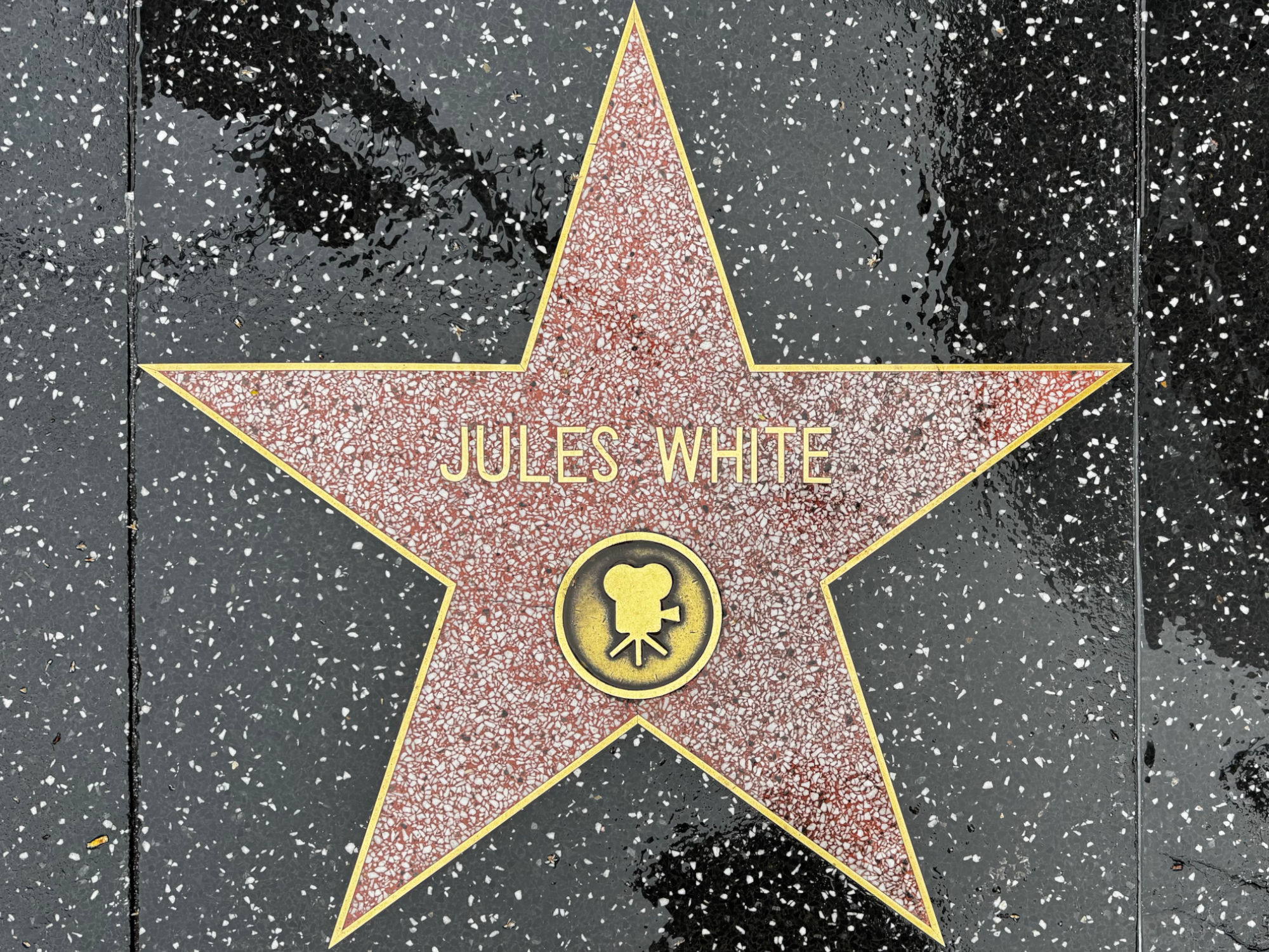 Hollywood Walk of Fame Hollywood Walk of Fame