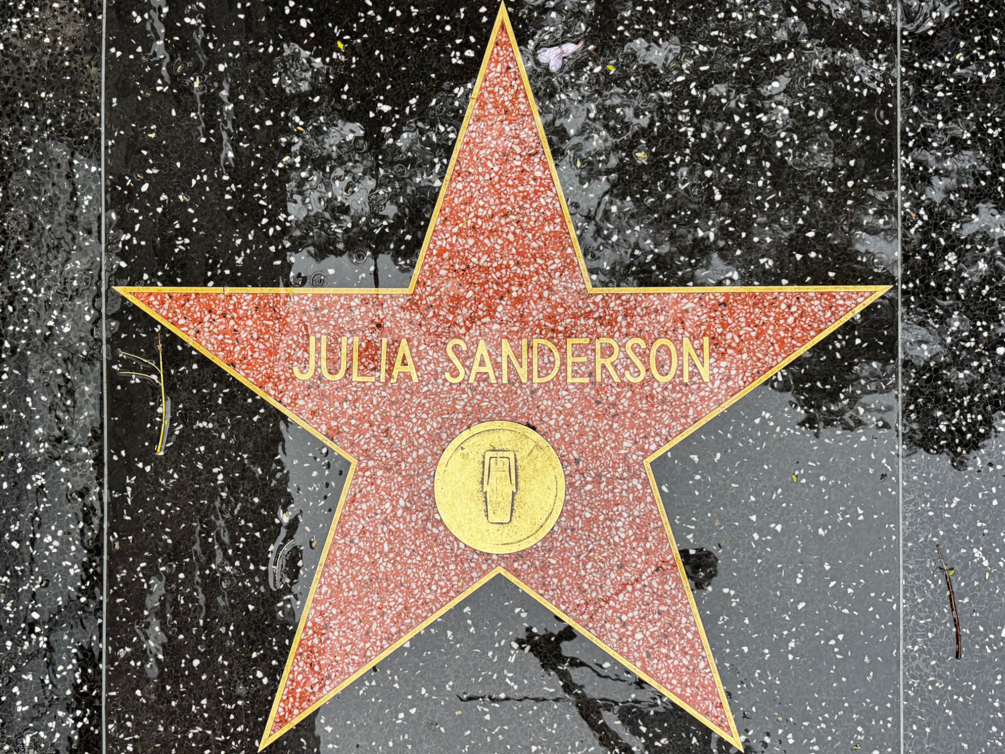 Hollywood Walk of Fame Hollywood Walk of Fame