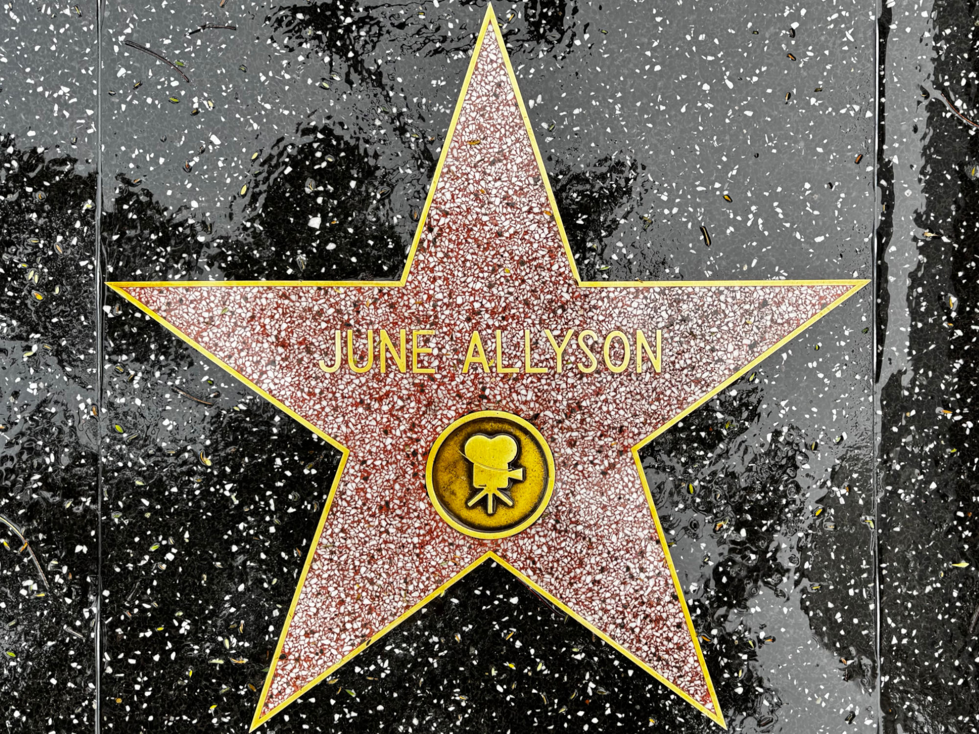 Hollywood Walk of Fame Hollywood Walk of Fame