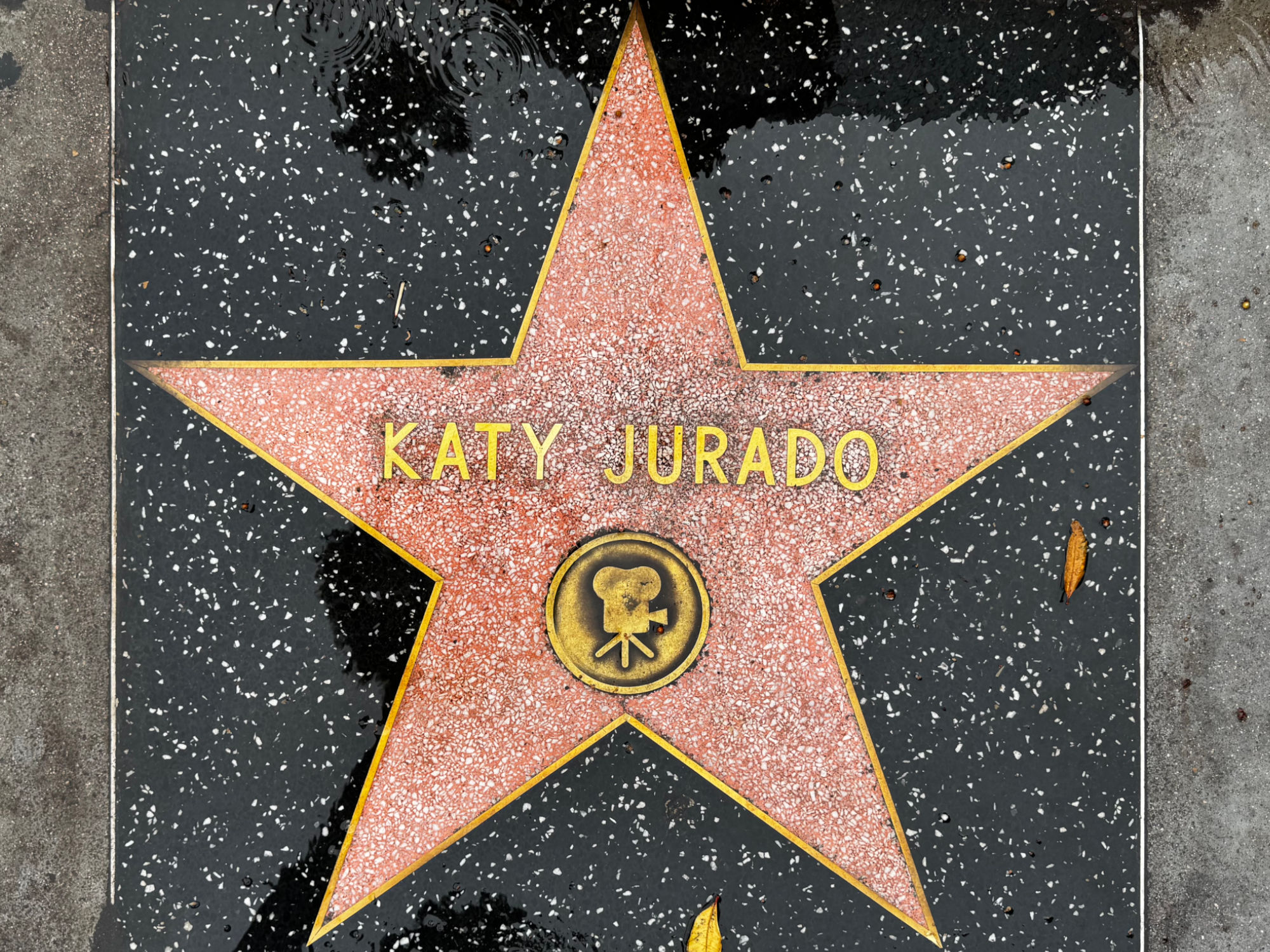 Hollywood Walk of Fame Hollywood Walk of Fame