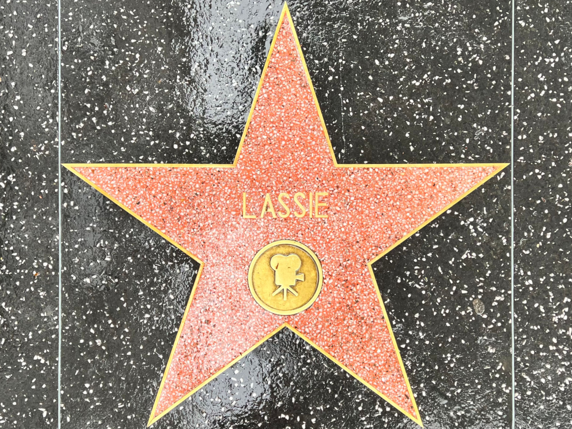 Hollywood Walk of Fame