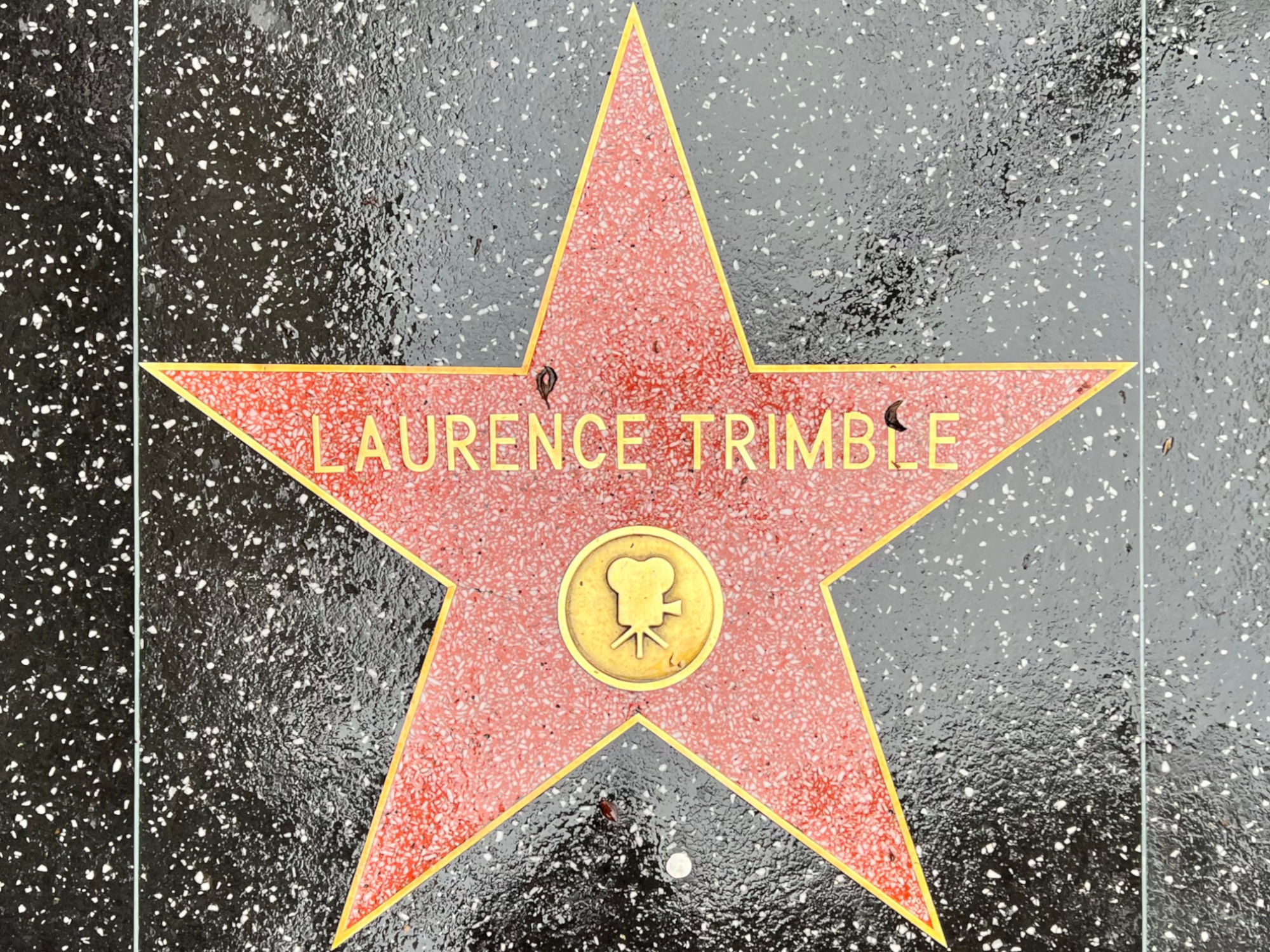 Hollywood Walk of Fame