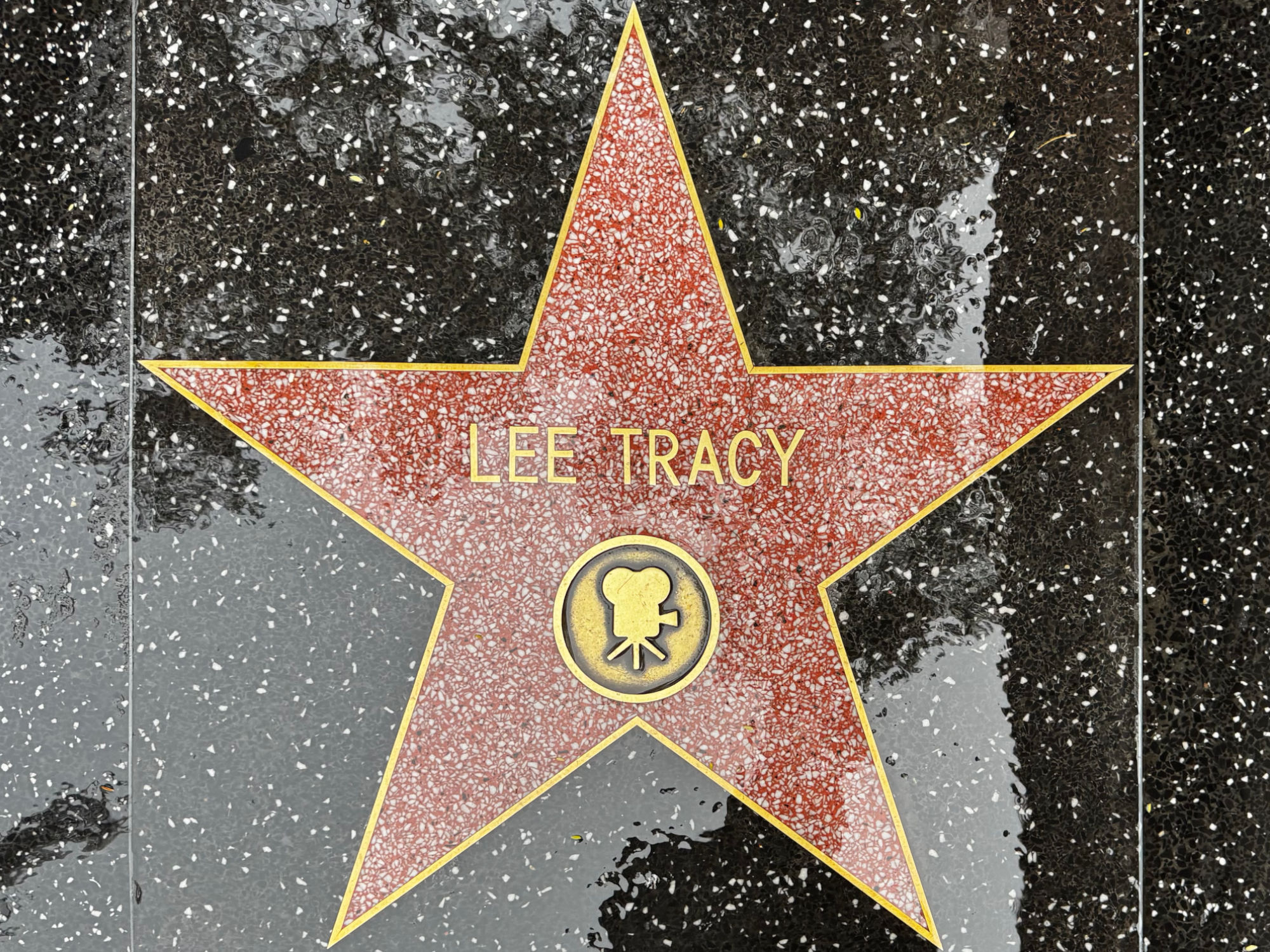 Hollywood Walk of Fame Hollywood Walk of Fame