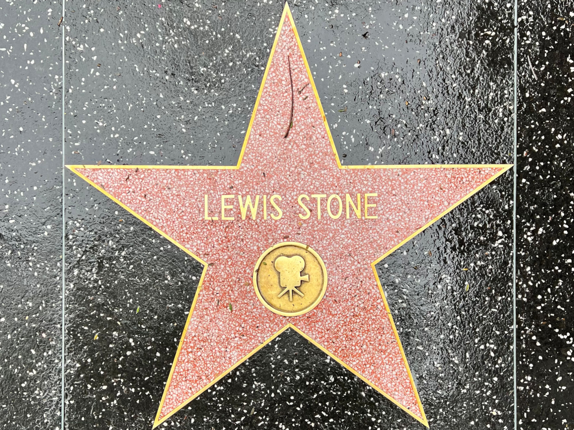 Hollywood Walk of Fame
