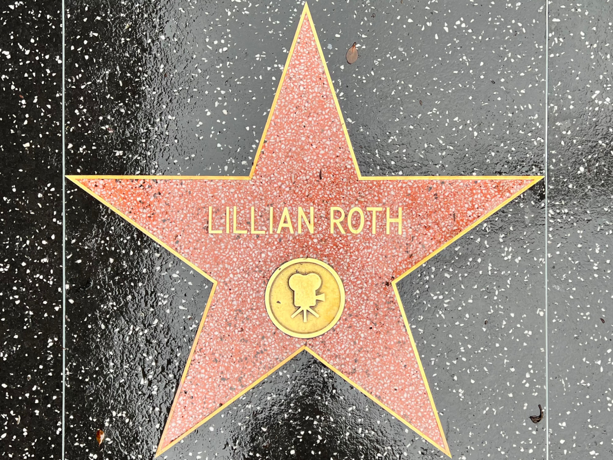 Hollywood Walk of Fame