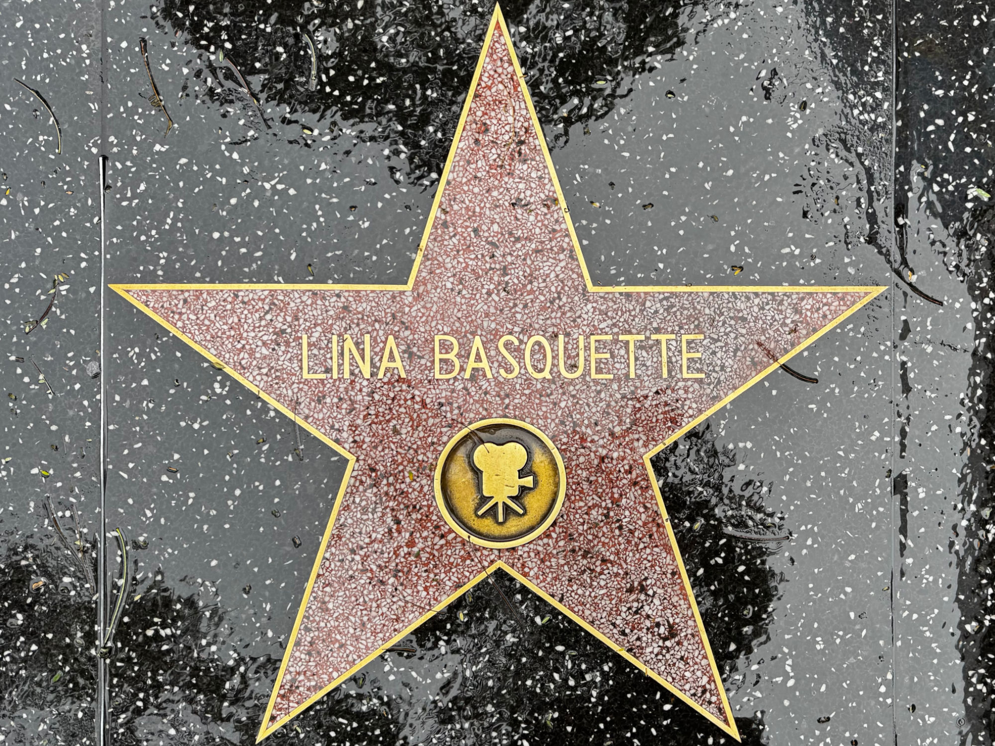 Hollywood Walk of Fame Hollywood Walk of Fame