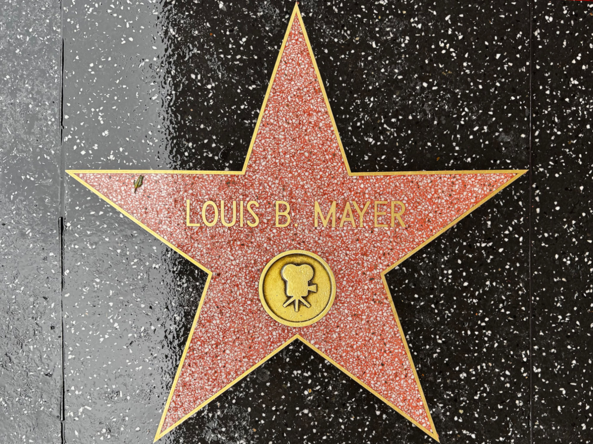 Hollywood Walk of Fame Hollywood Walk of Fame