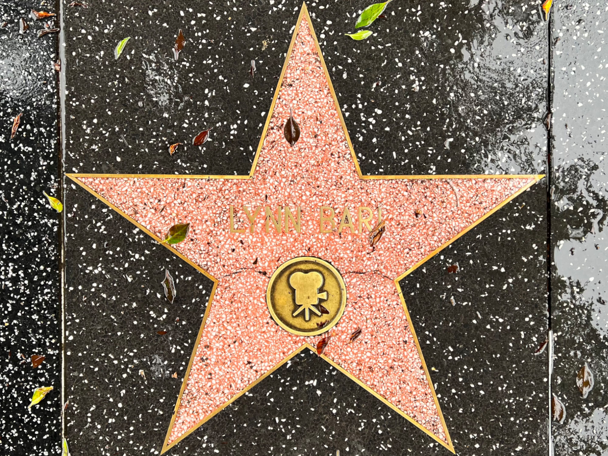 Hollywood Walk of Fame