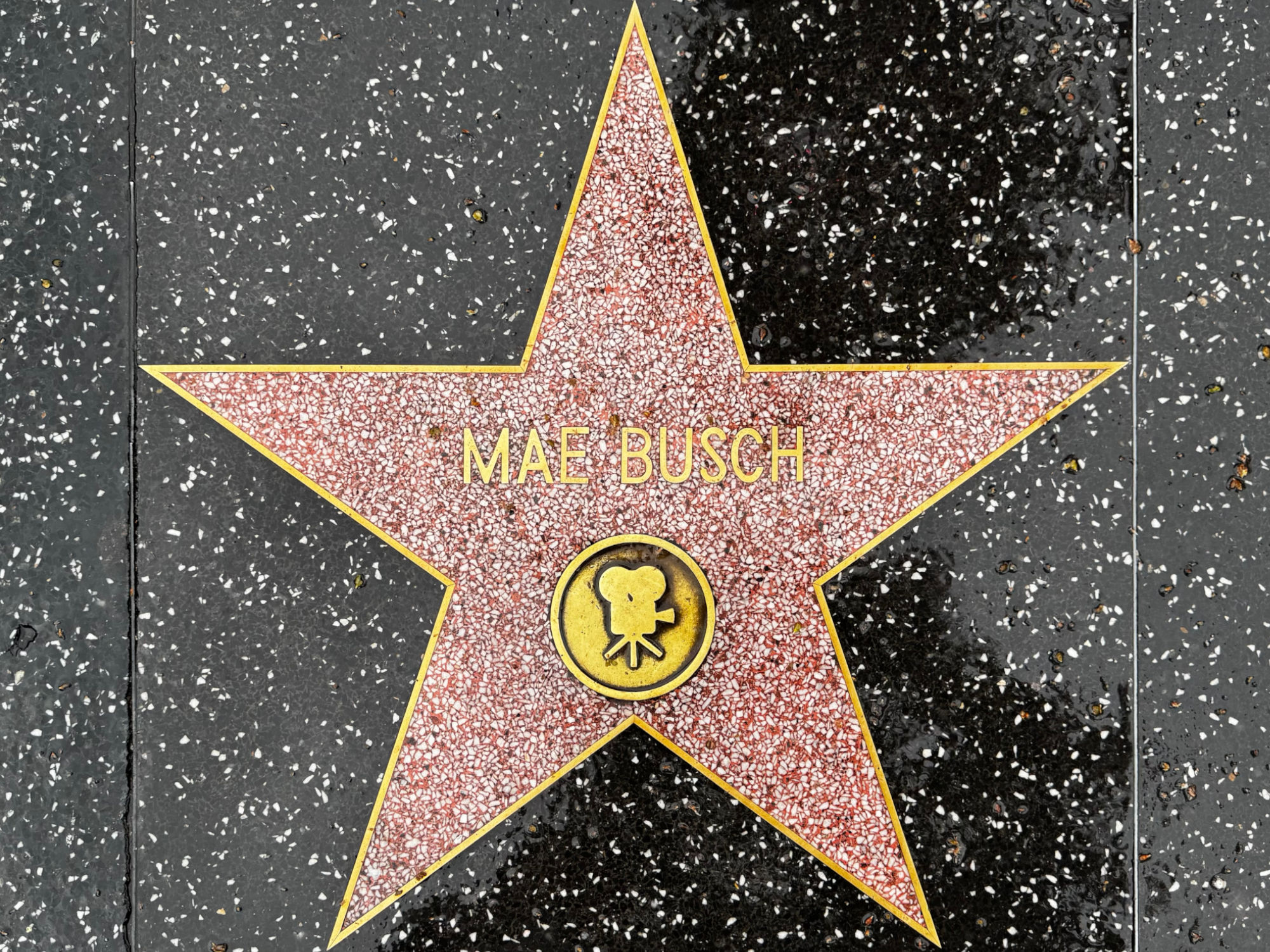 Hollywood Walk of Fame Hollywood Walk of Fame