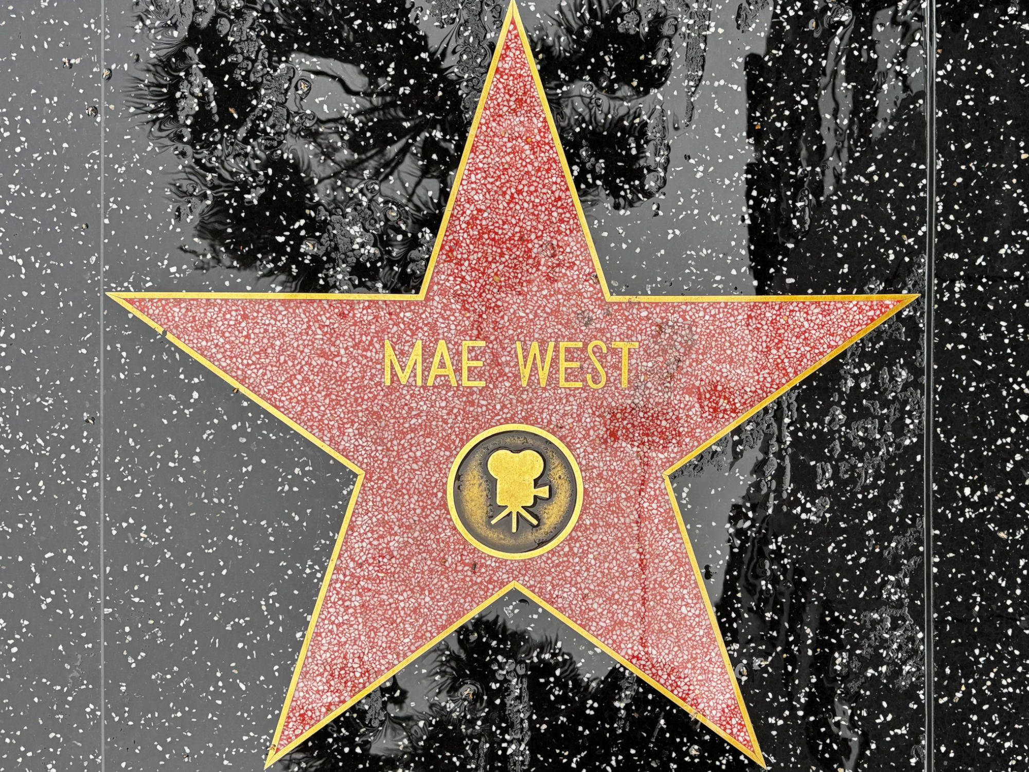 Hollywood Walk of Fame Hollywood Walk of Fame