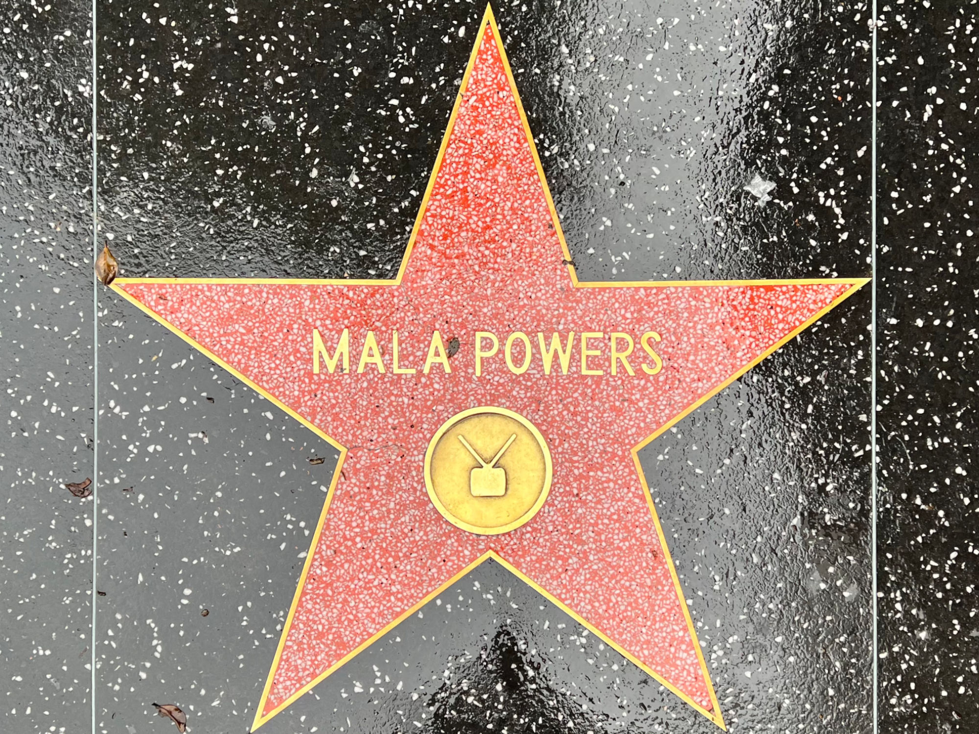 Hollywood Walk of Fame