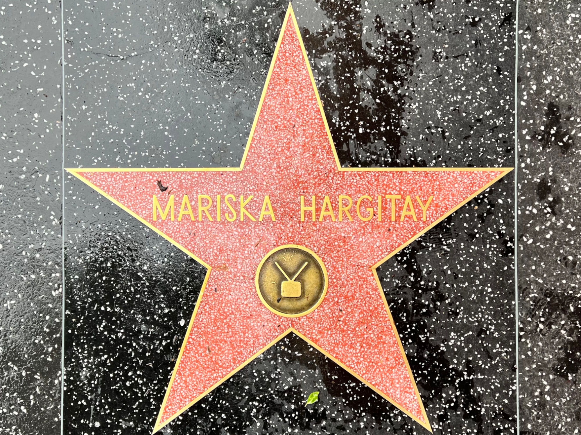 Hollywood Walk of Fame