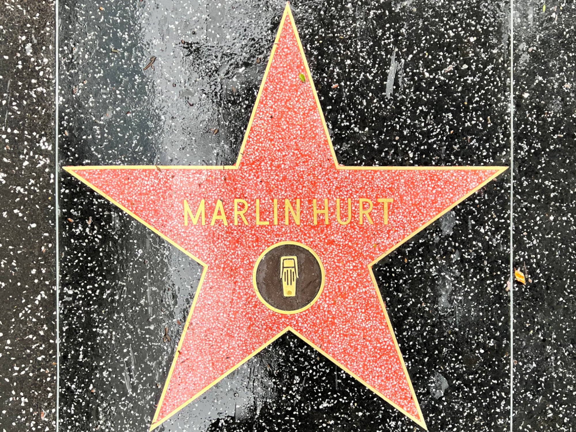 Hollywood Walk of Fame