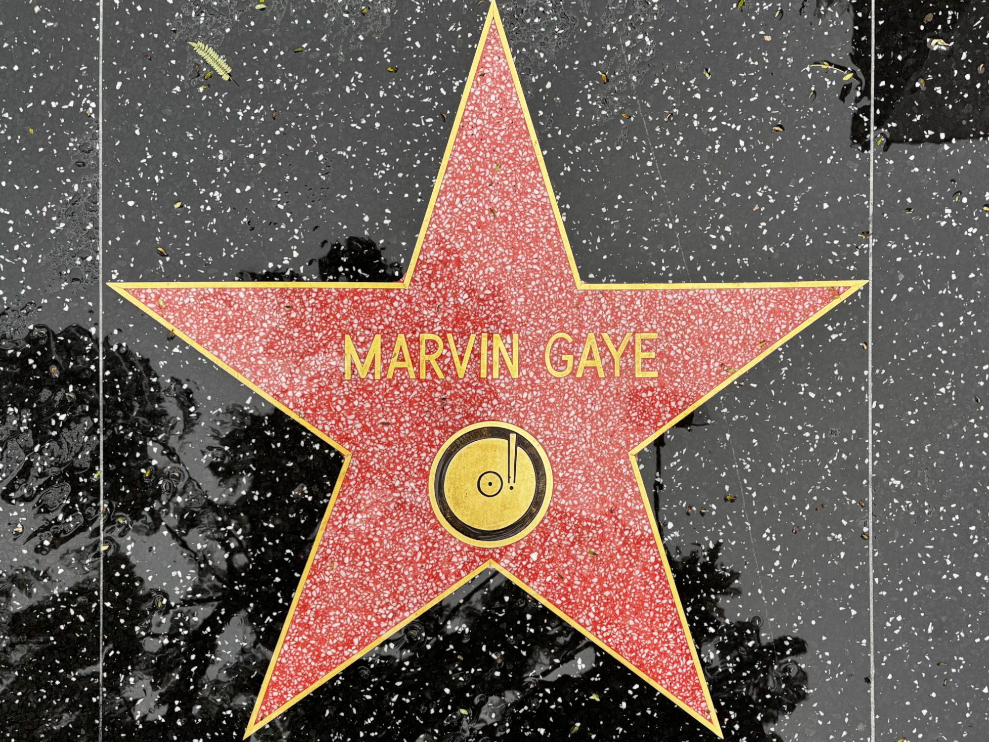 Hollywood Walk of Fame