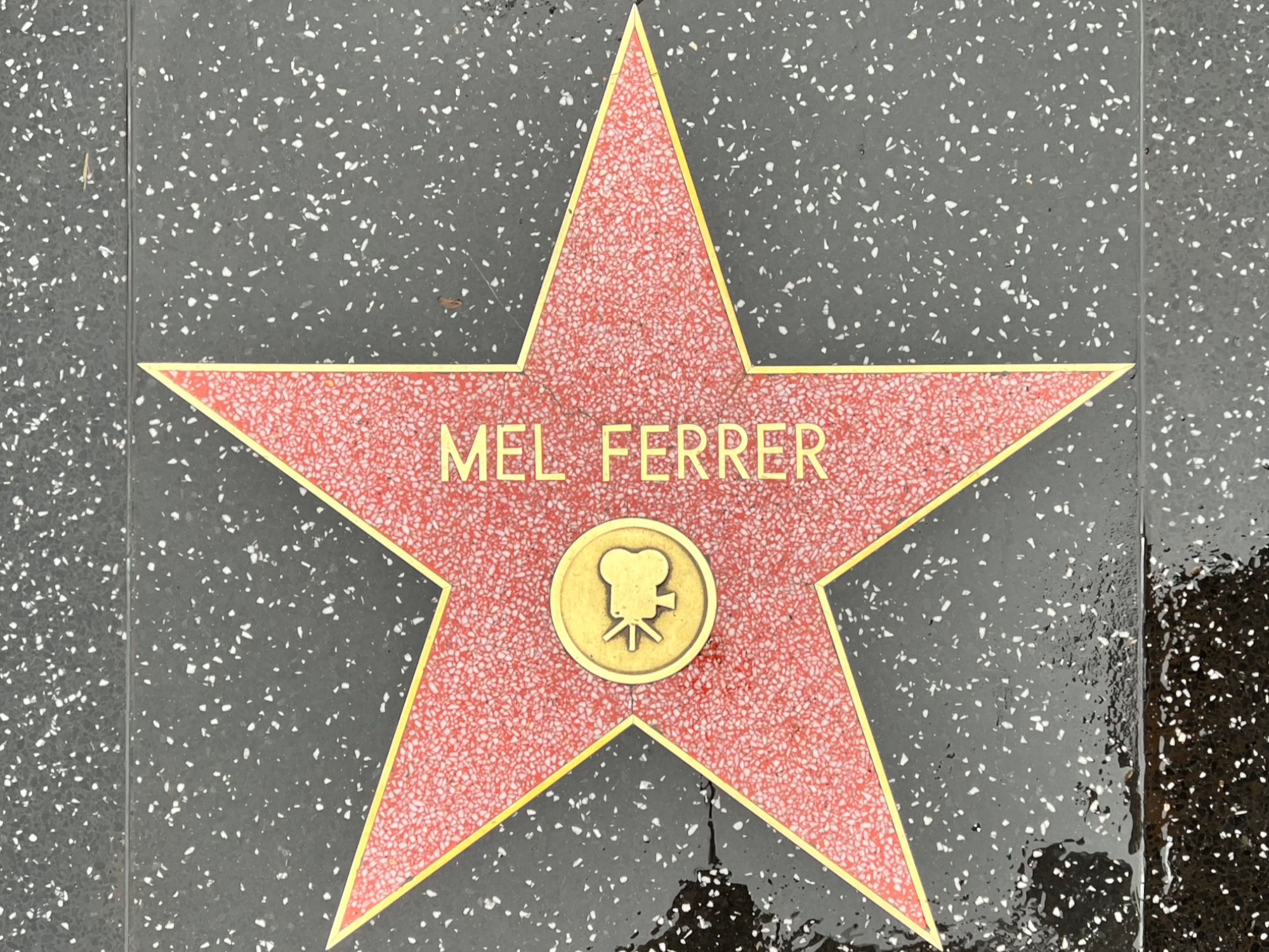 Hollywood Walk of Fame