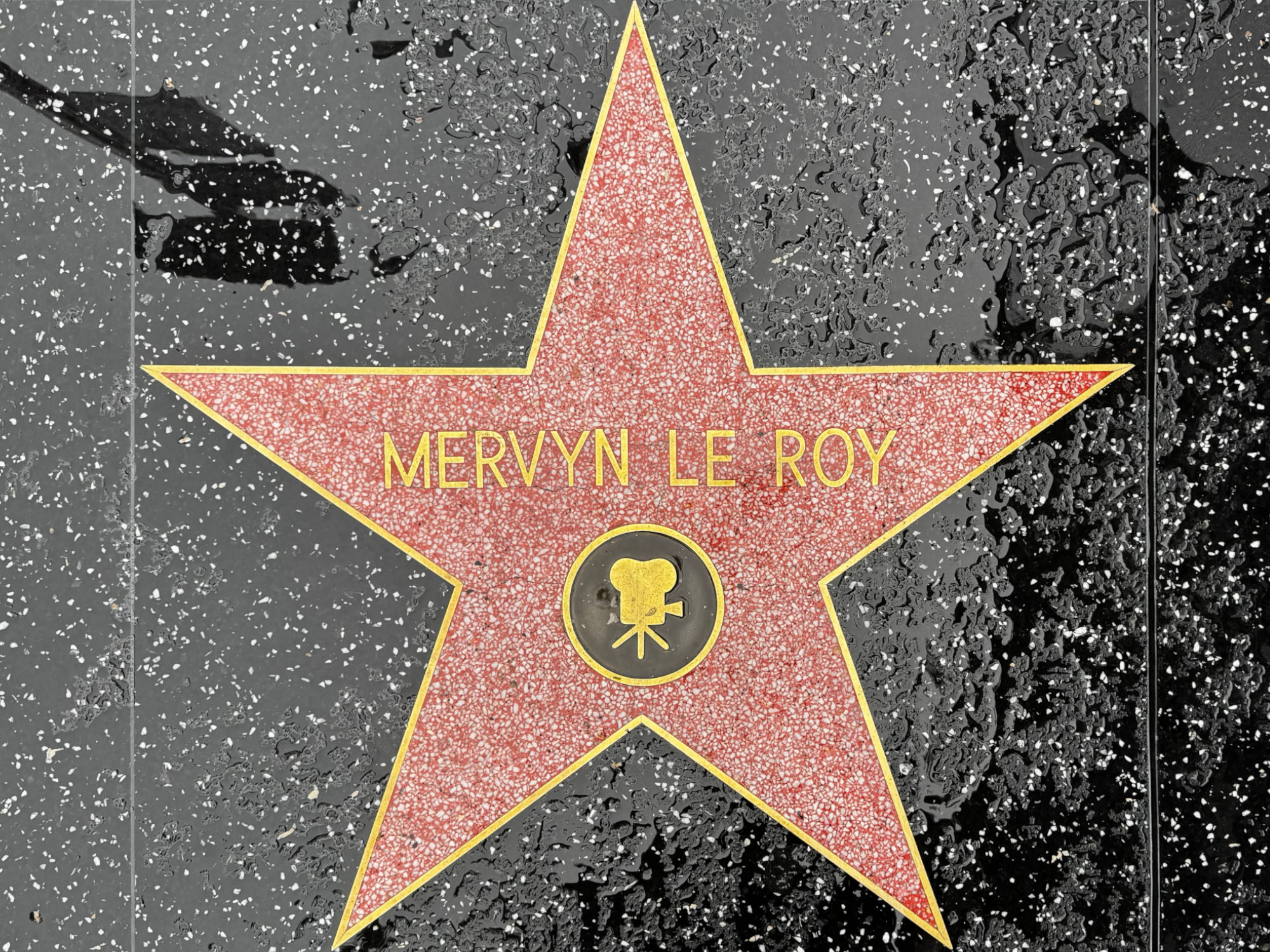 Hollywood Walk of Fame Hollywood Walk of Fame