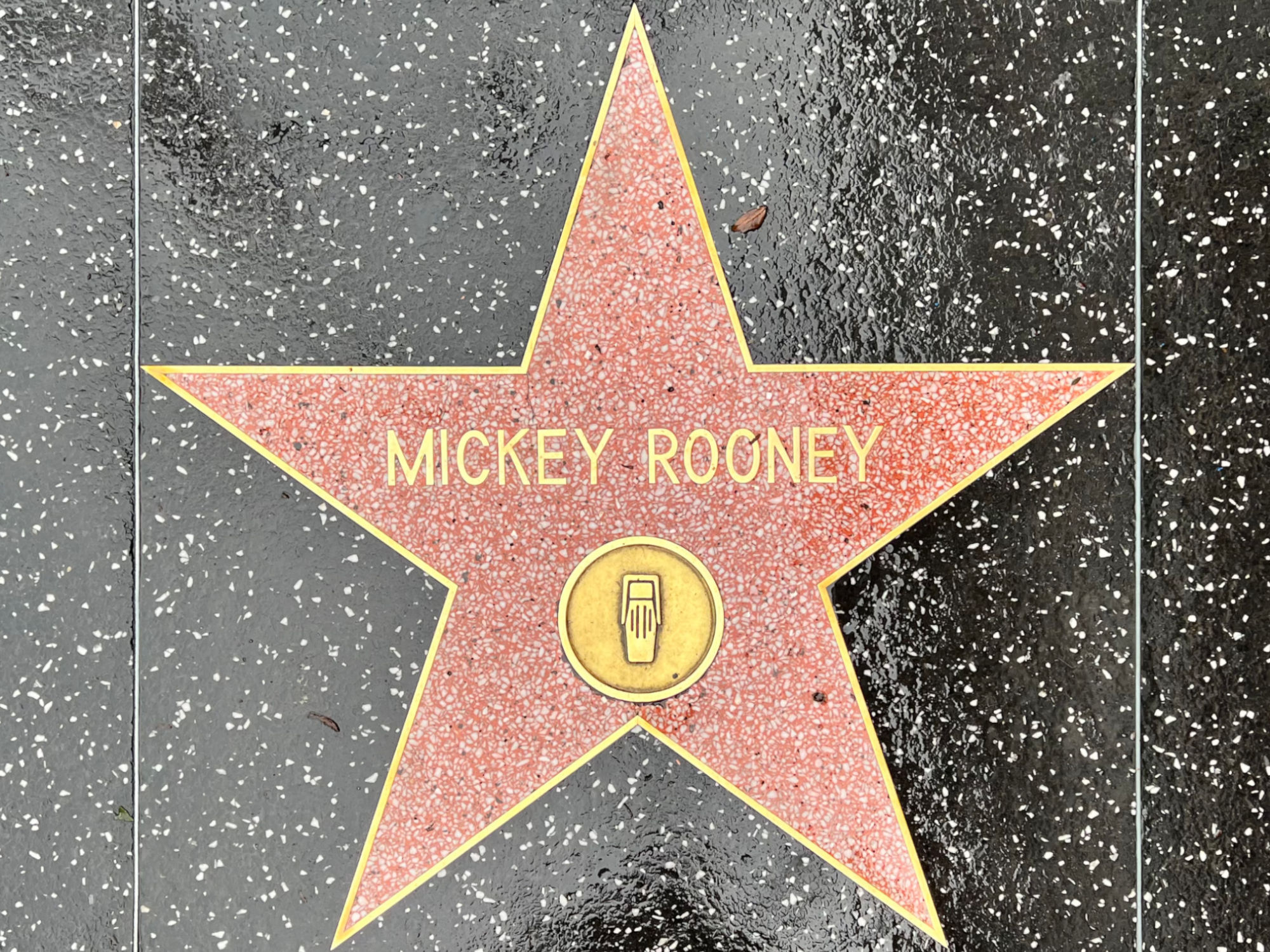 Hollywood Walk of Fame