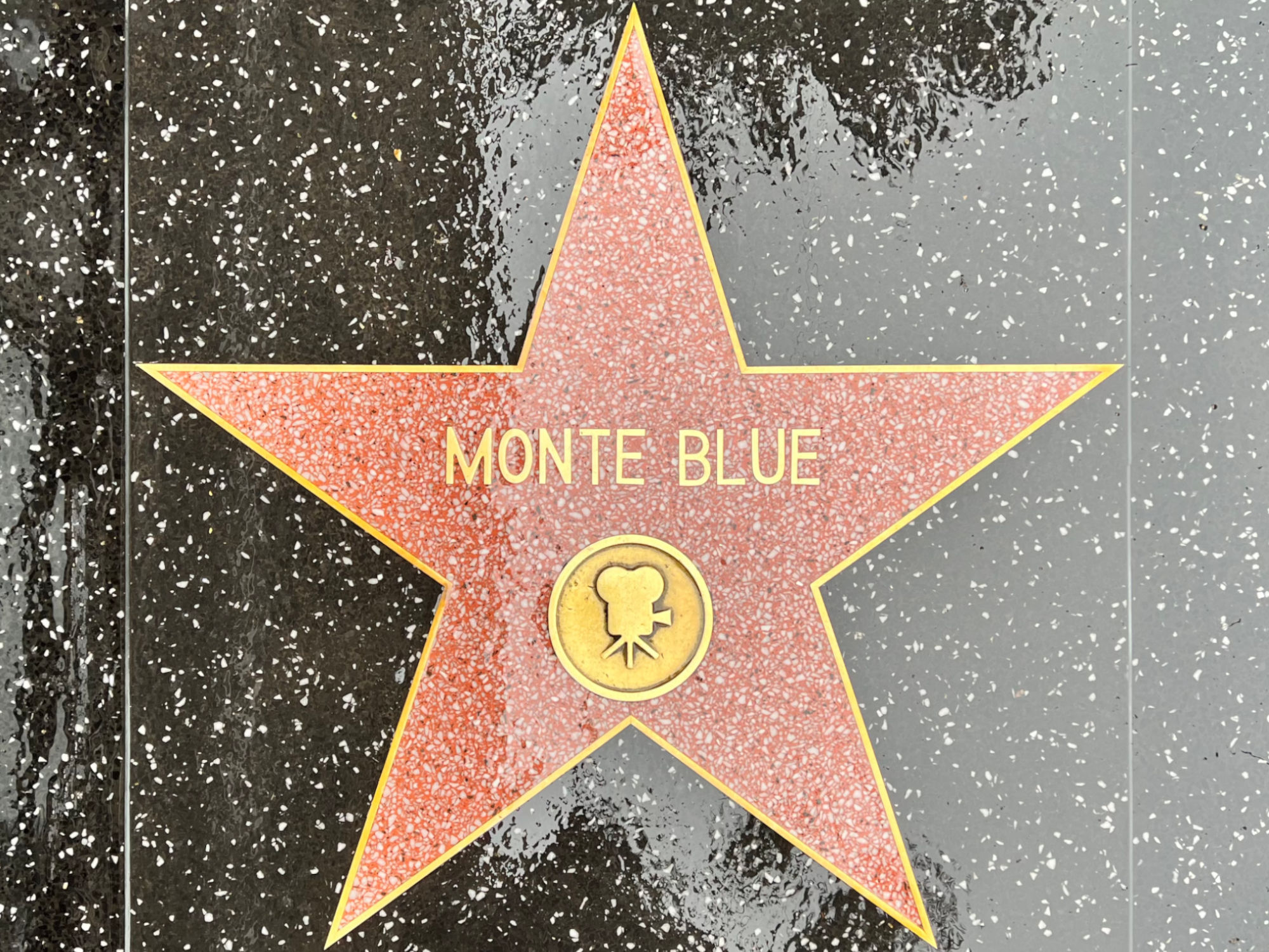 Hollywood Walk of Fame