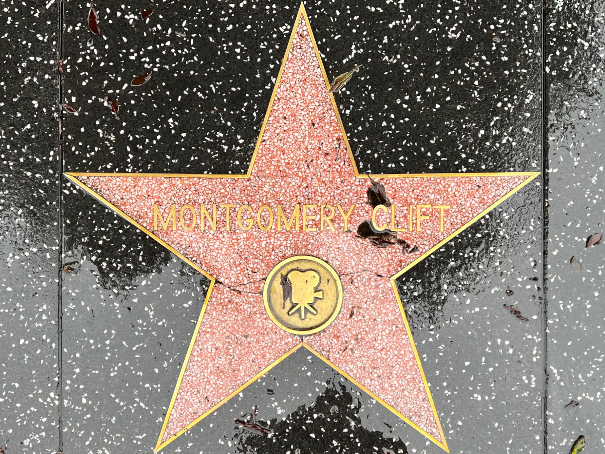 Hollywood Walk of Fame