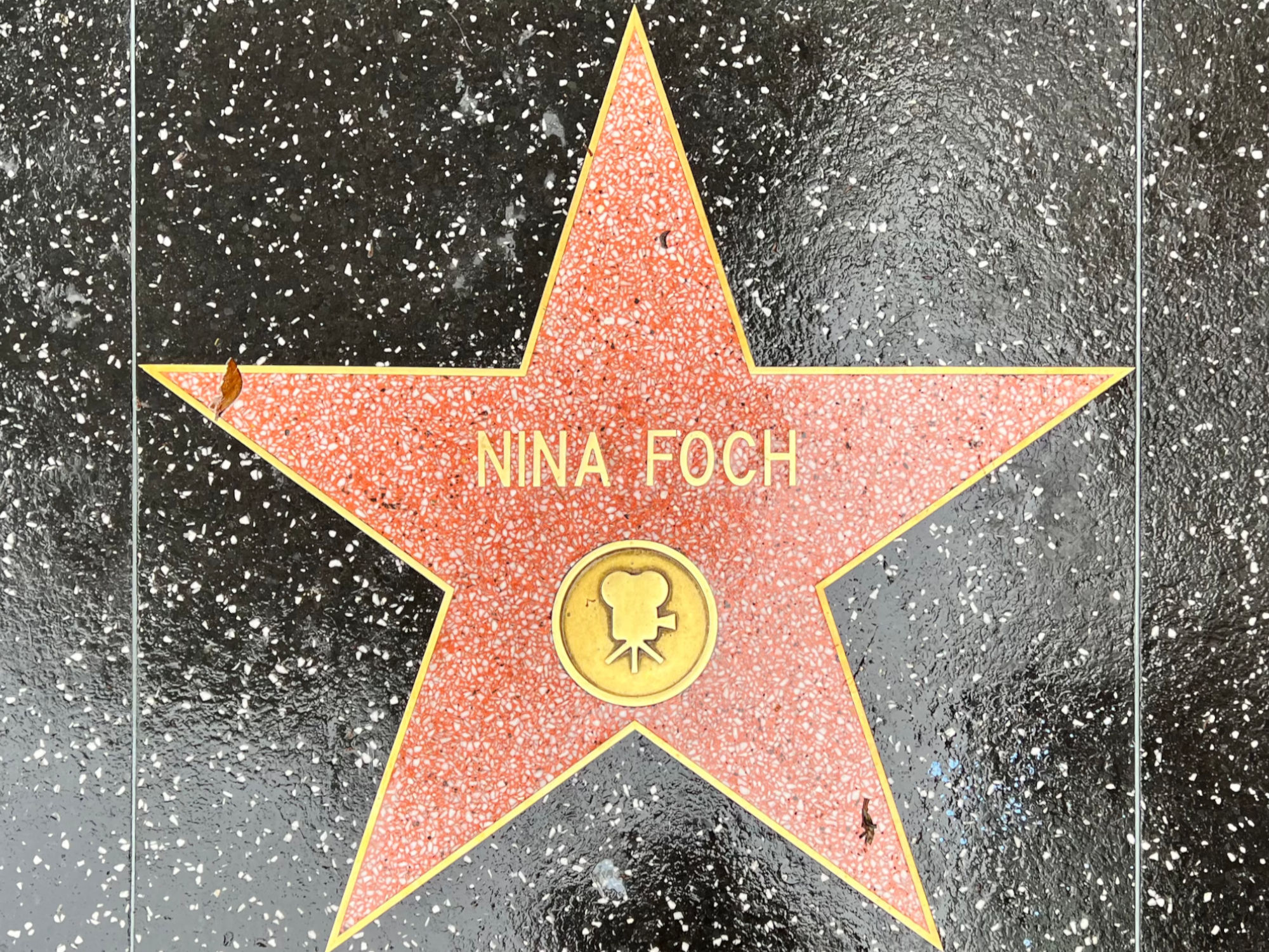 Hollywood Walk of Fame