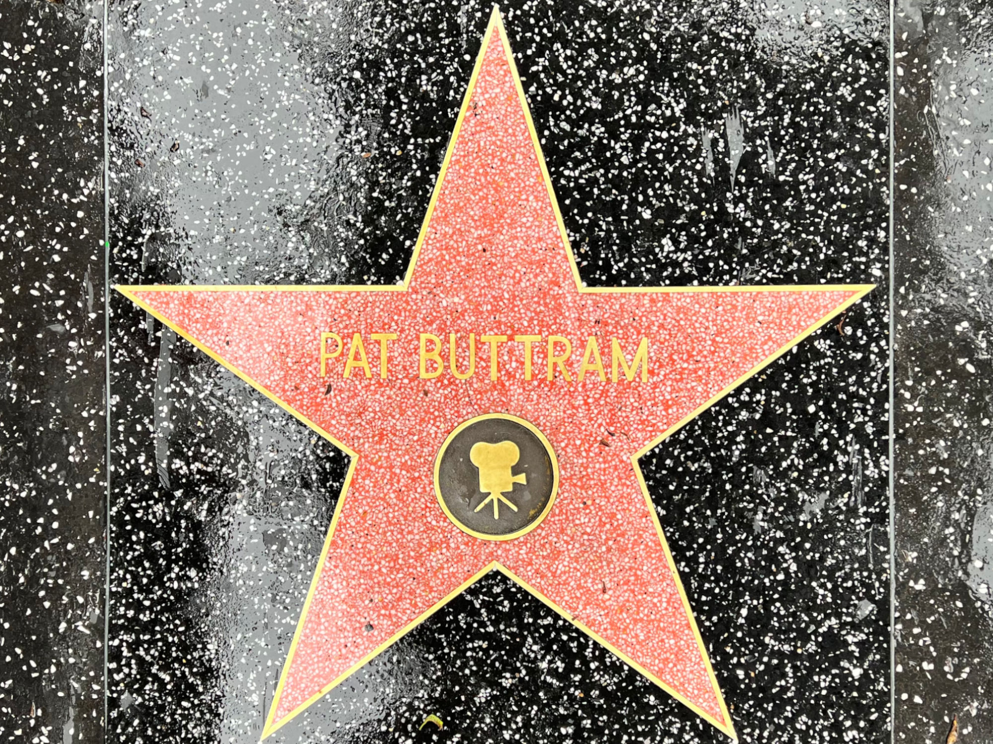 Hollywood Walk of Fame