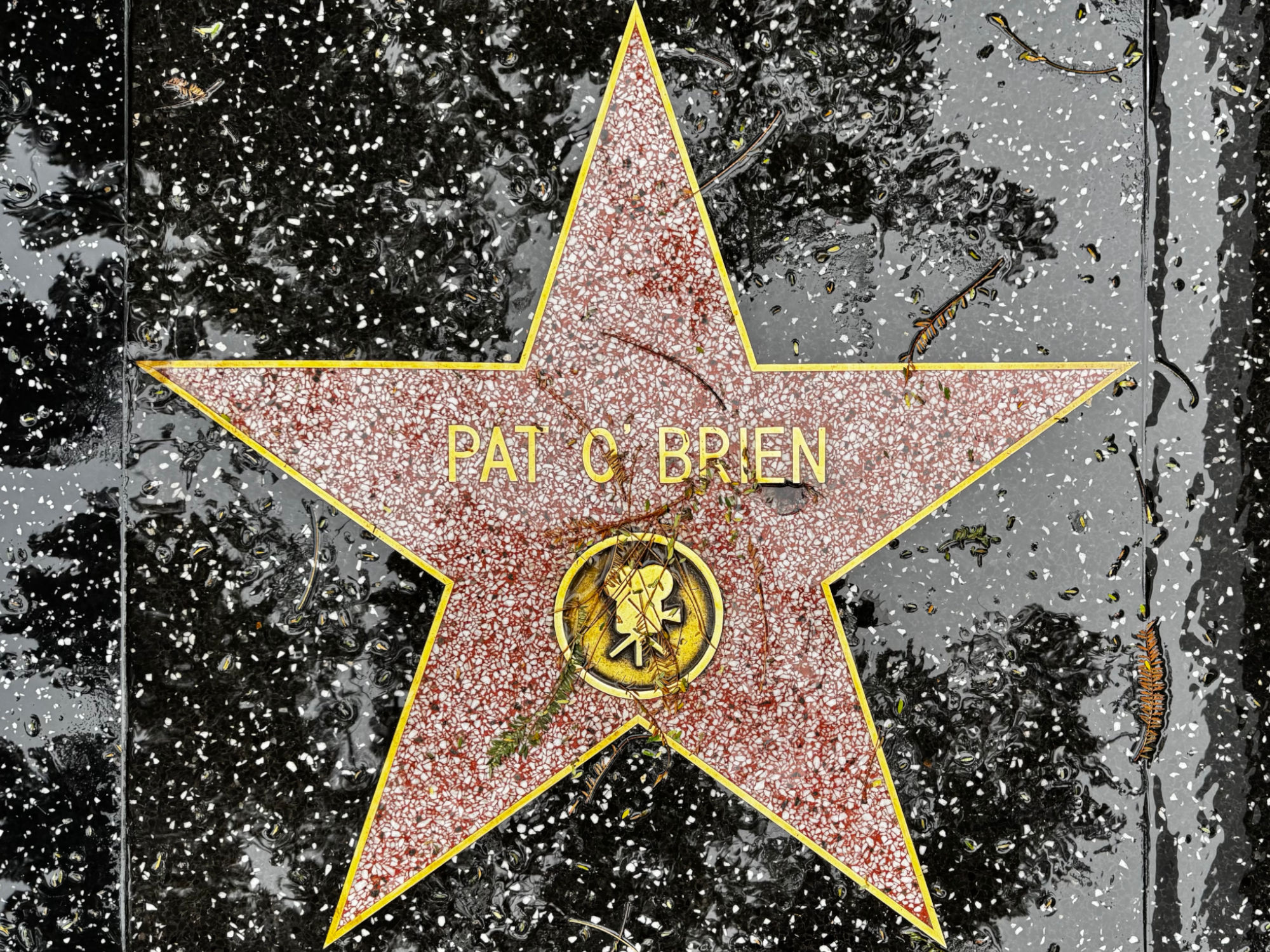 Hollywood Walk of Fame Hollywood Walk of Fame