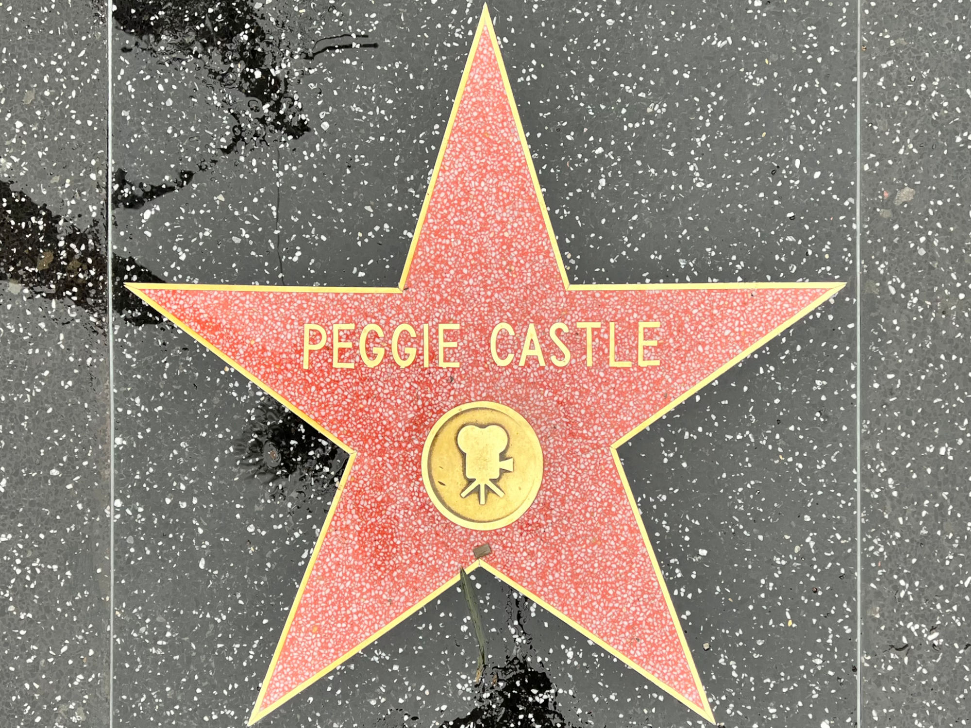 Hollywood Walk of Fame