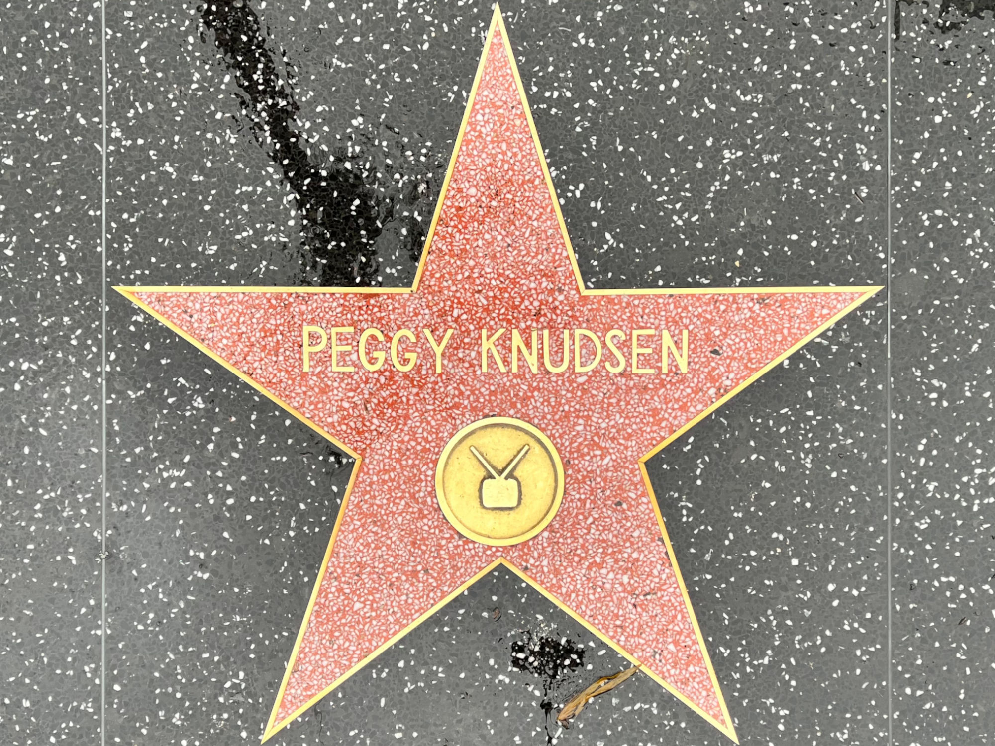 Hollywood Walk of Fame