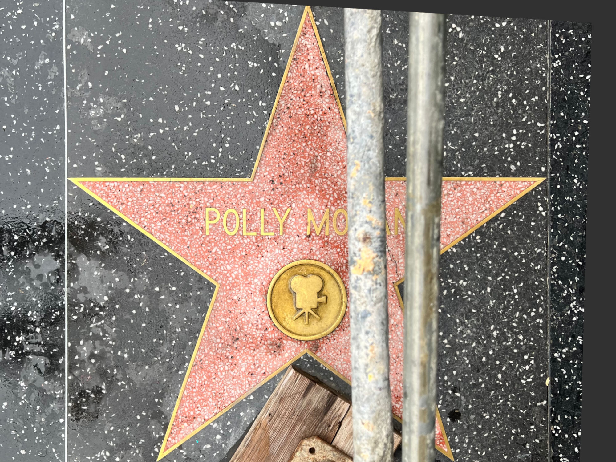 Hollywood Walk of Fame