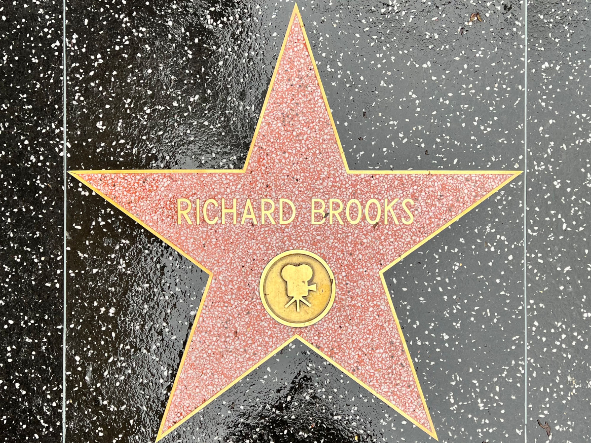 Hollywood Walk of Fame
