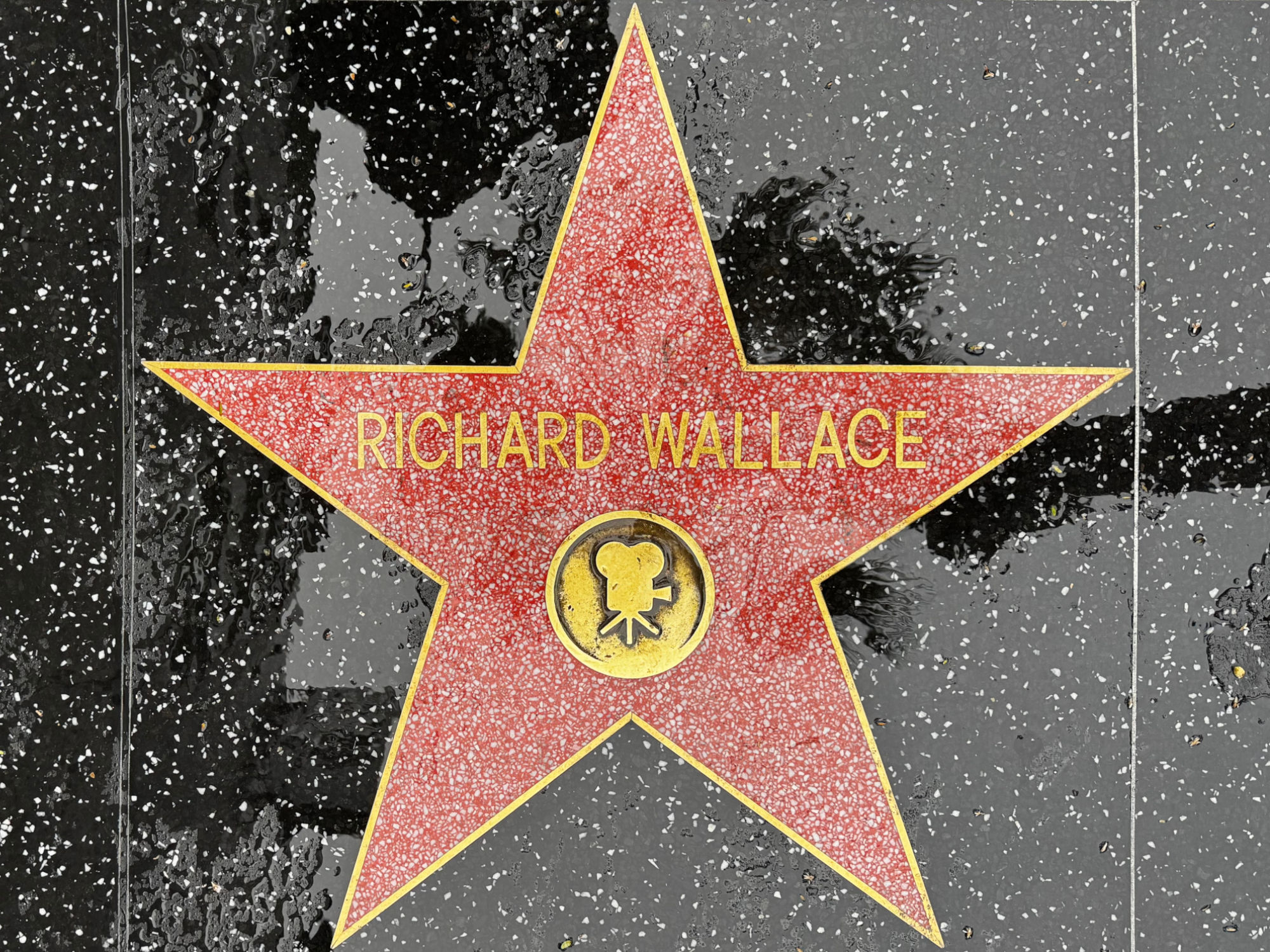 Hollywood Walk of Fame Hollywood Walk of Fame