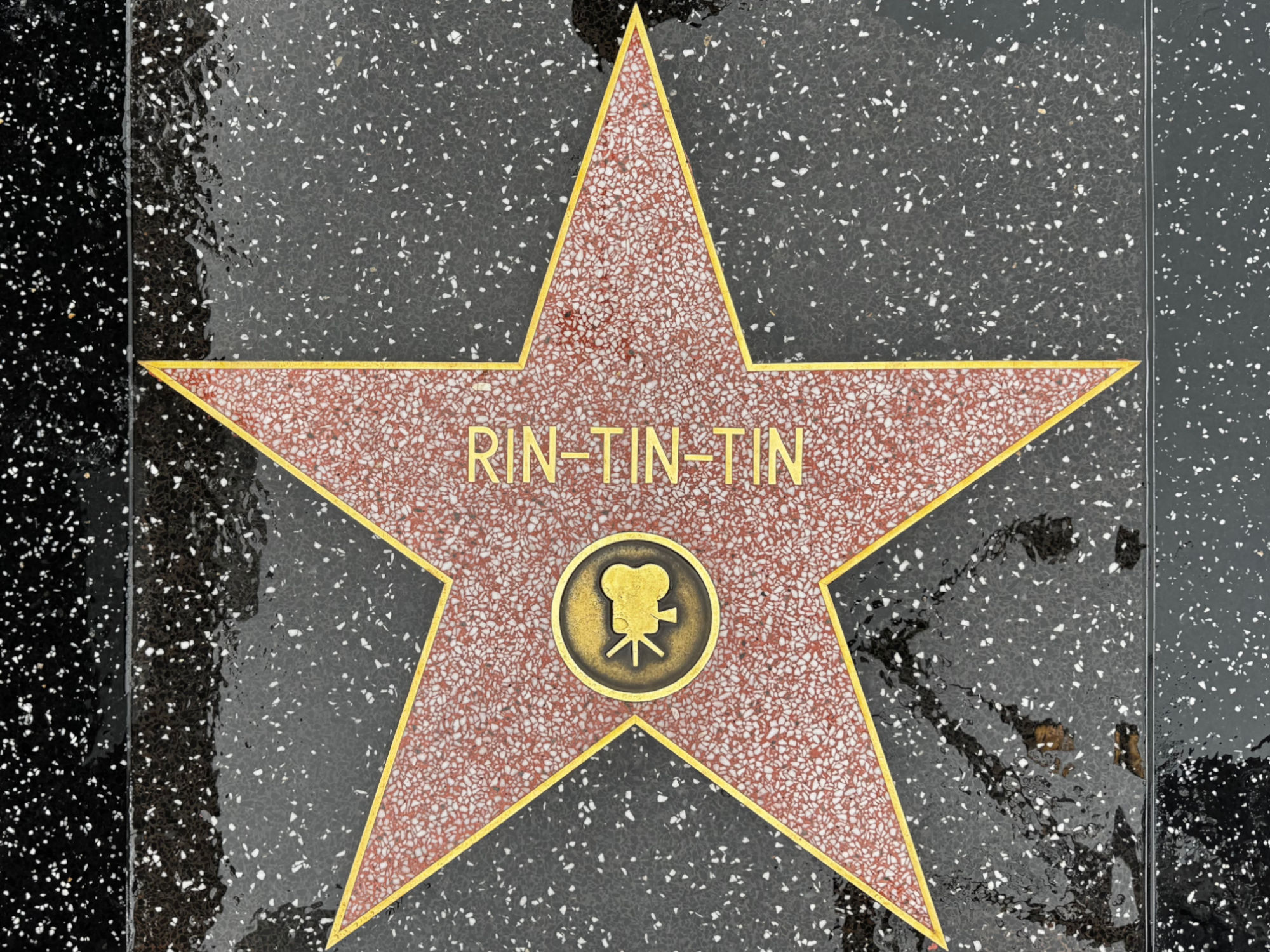 Hollywood Walk of Fame Hollywood Walk of Fame
