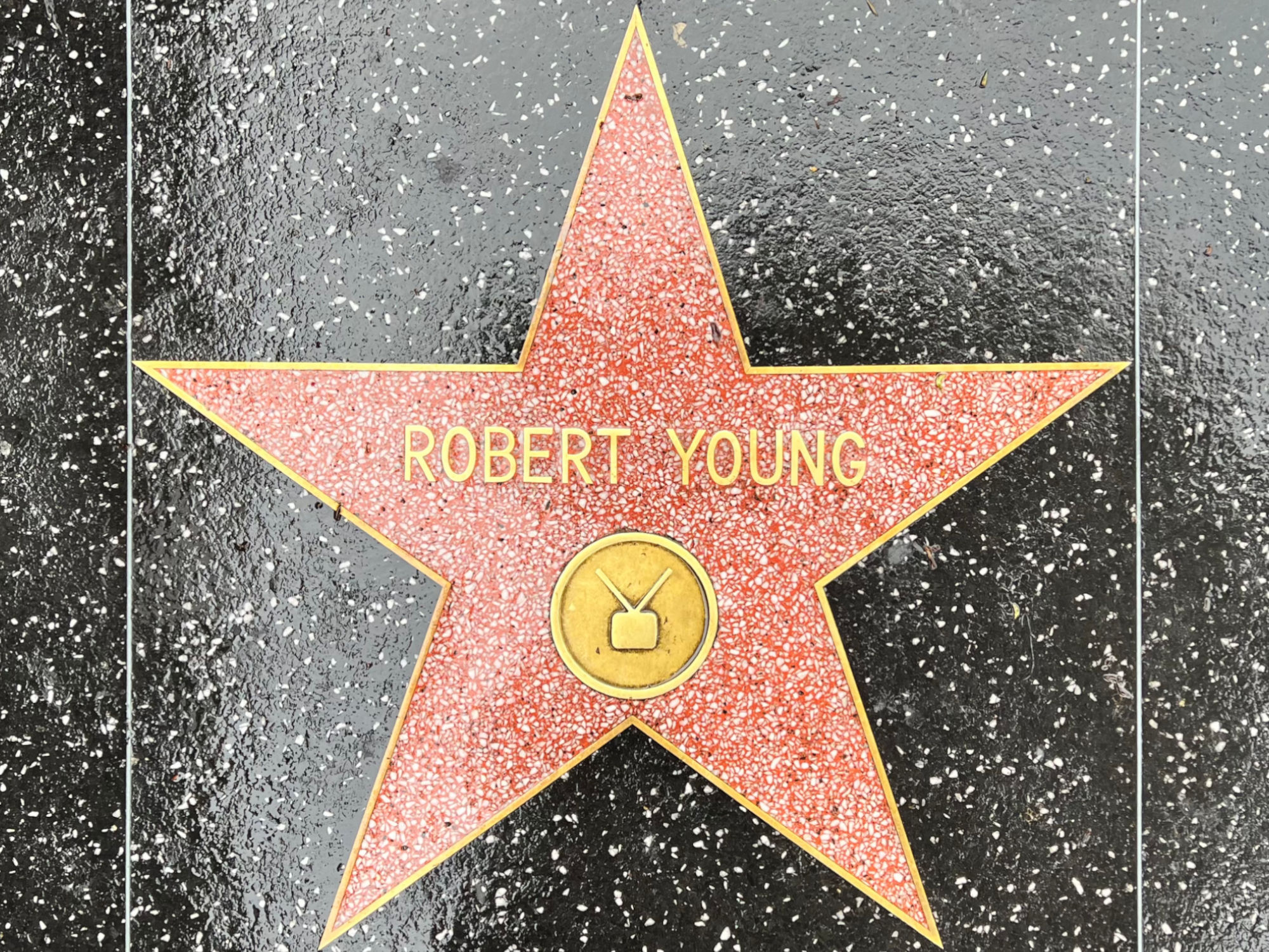 Hollywood Walk of Fame